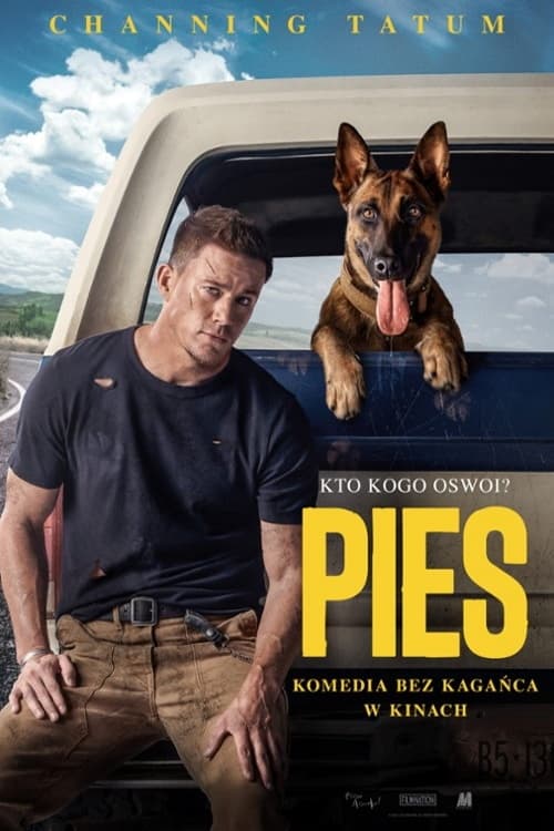 Pies Oglądaj w HD online