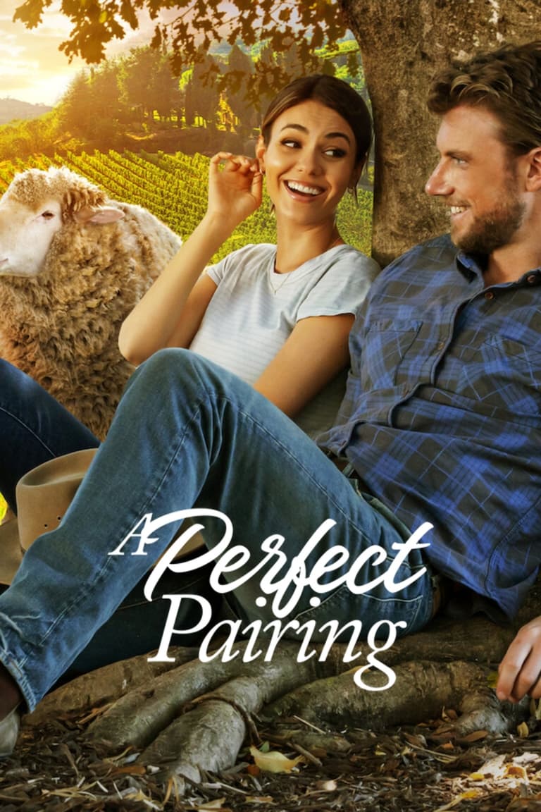Perfekcyjne połączenie Oglądaj w HD online