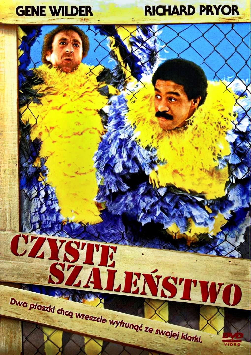 Czyste szaleństwo Oglądaj w HD online