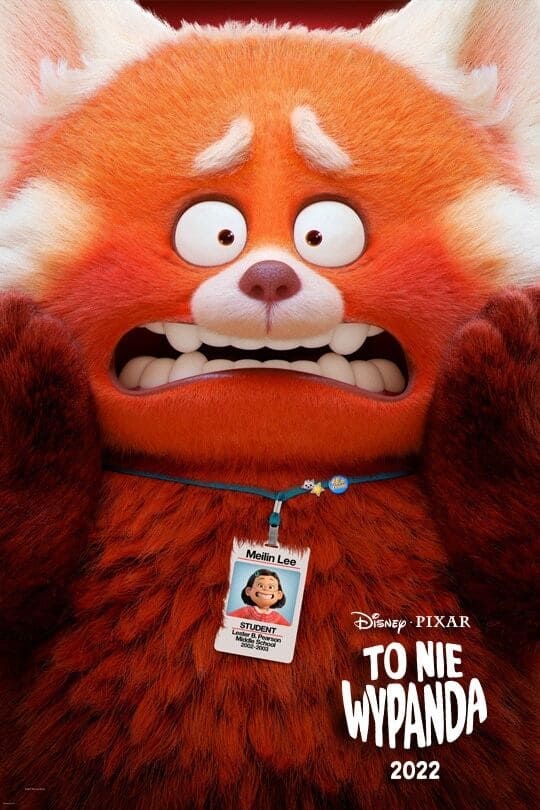 To nie wypanda Oglądaj w HD online