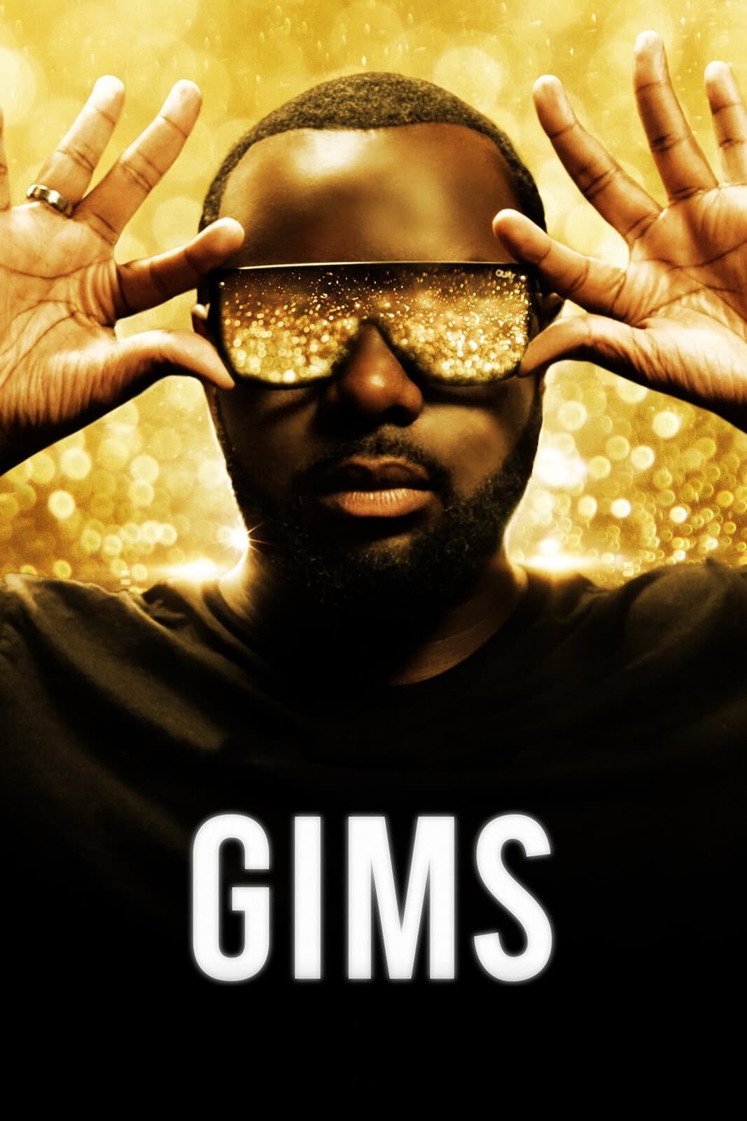GIMS: On the Record Oglądaj w HD online
