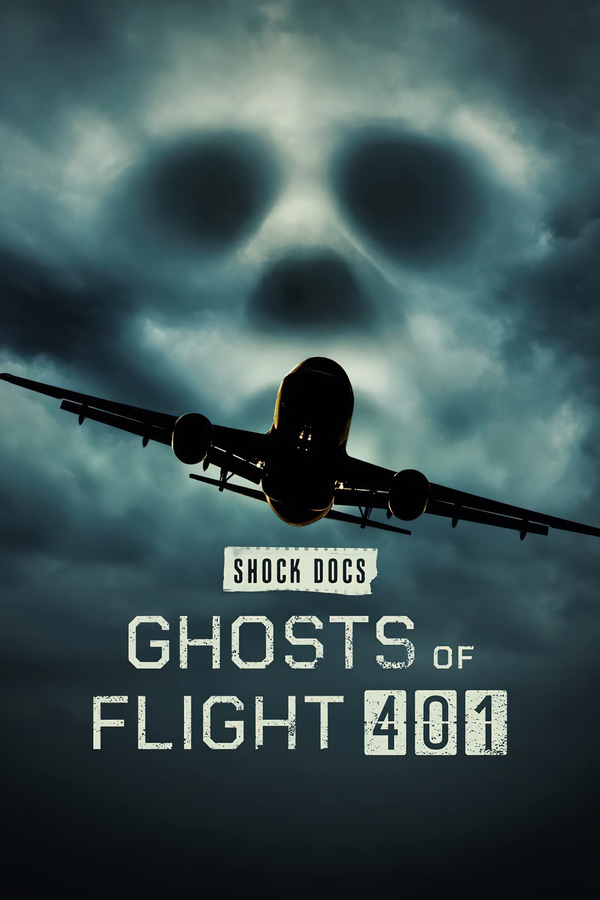 Ghosts of Flight 401 Oglądaj w HD online