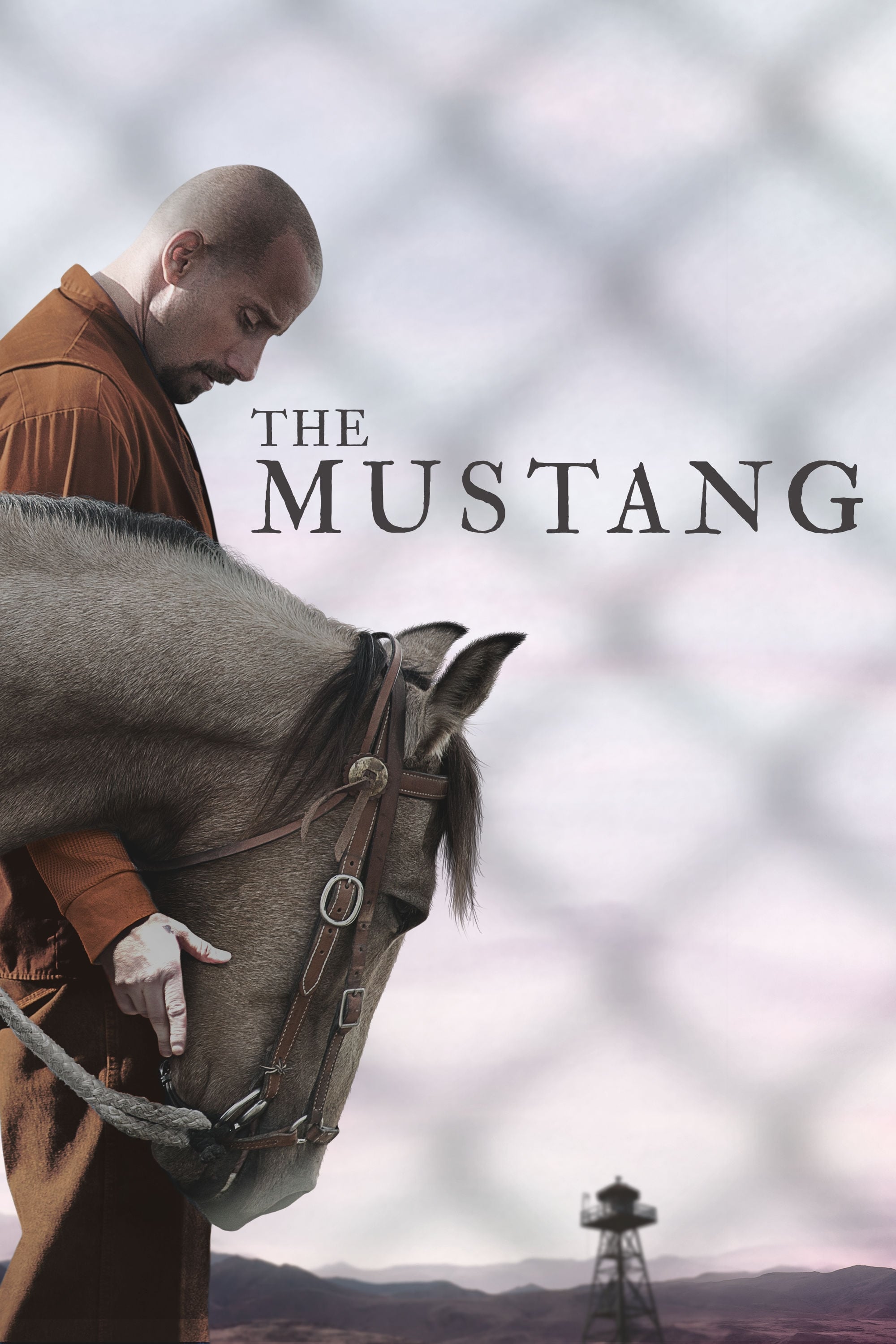 Mustang Oglądaj online za darmo w dobrej jakości