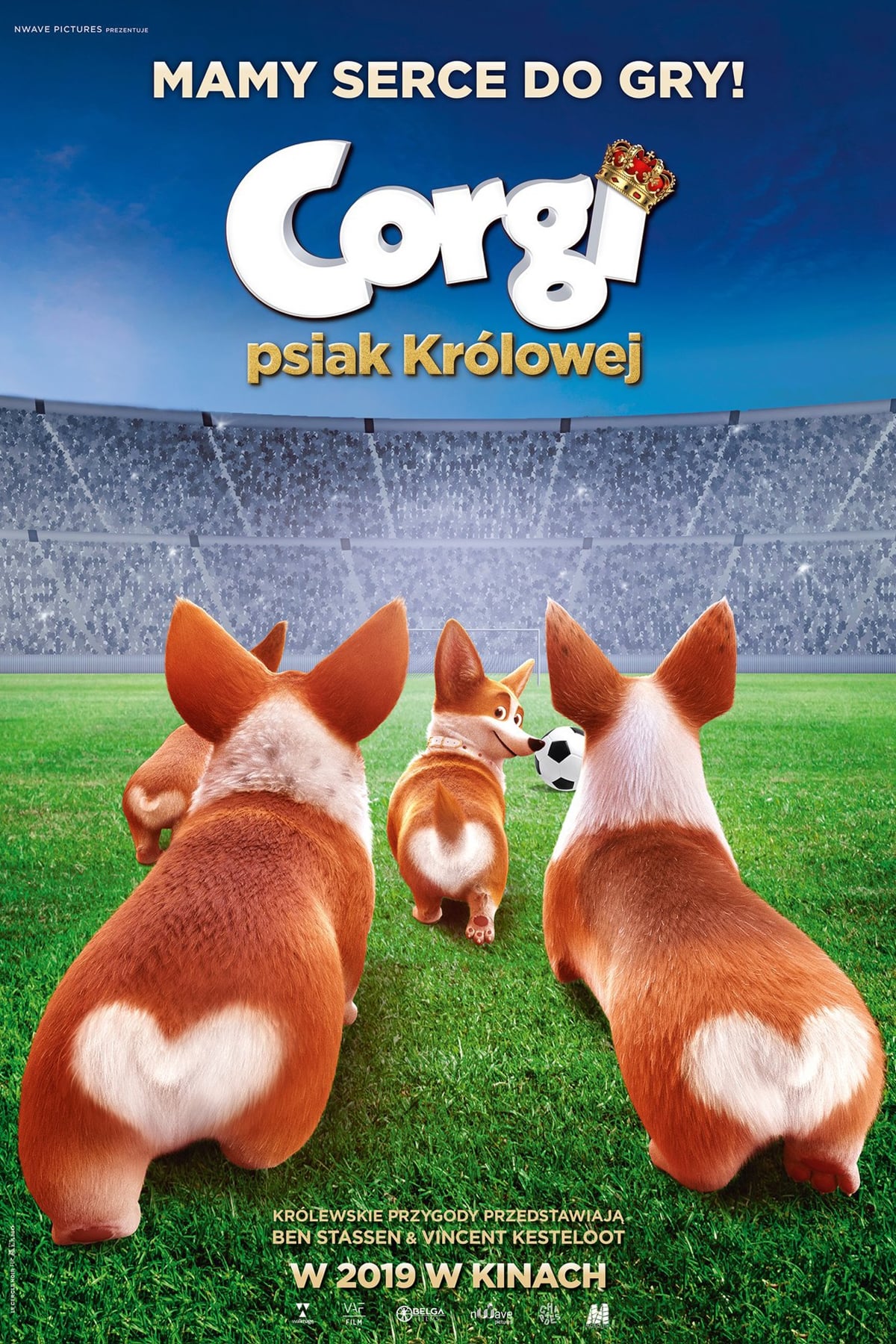 Corgi, psiak królowej Oglądaj w HD online