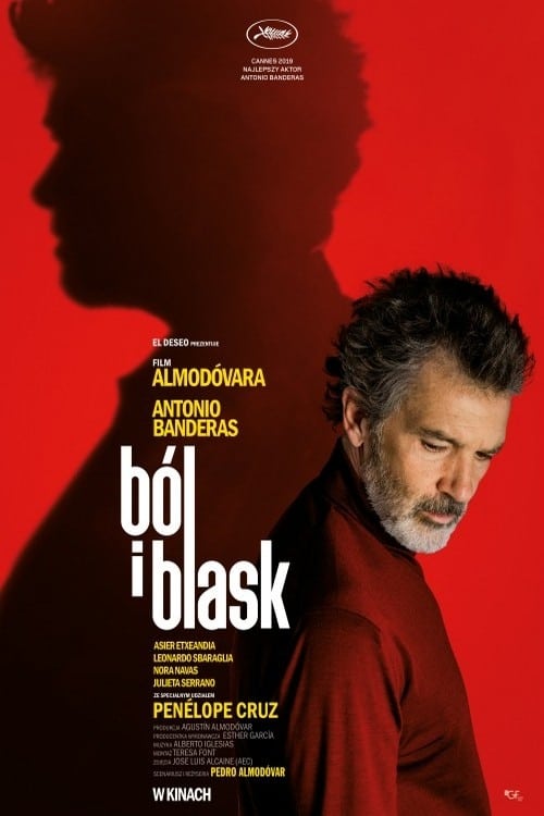 Ból i blask   Oglądaj w HD online