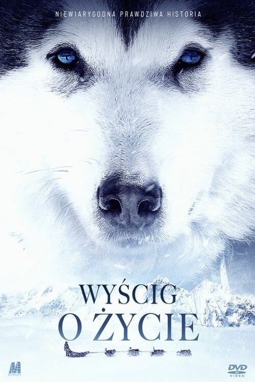 Wyścig o życie Oglądaj w HD online