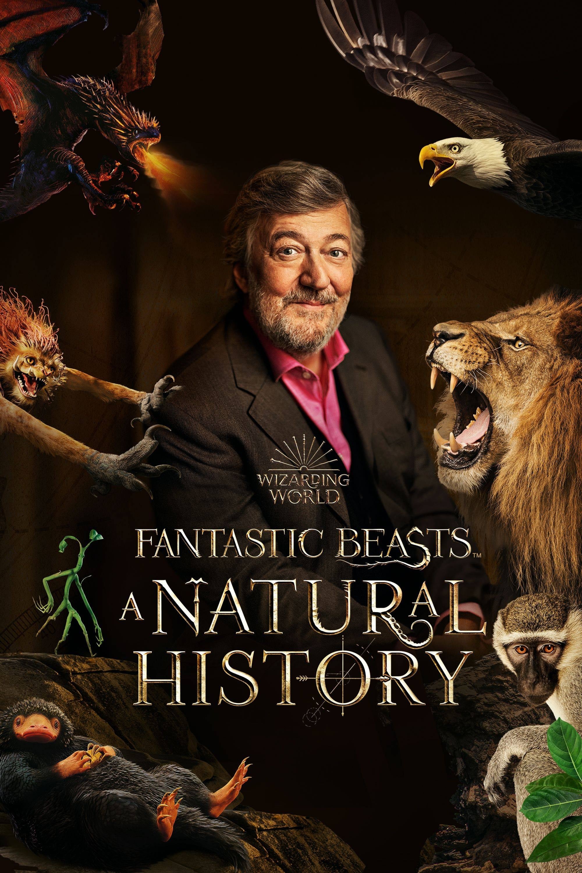 Fantastyczne zwierzęta: Historia naturalna Oglądaj w HD online