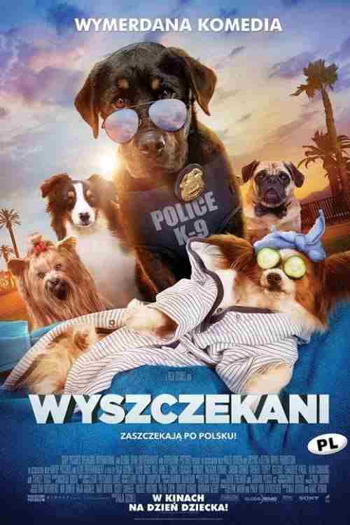 Wyszczekani Oglądaj w HD online