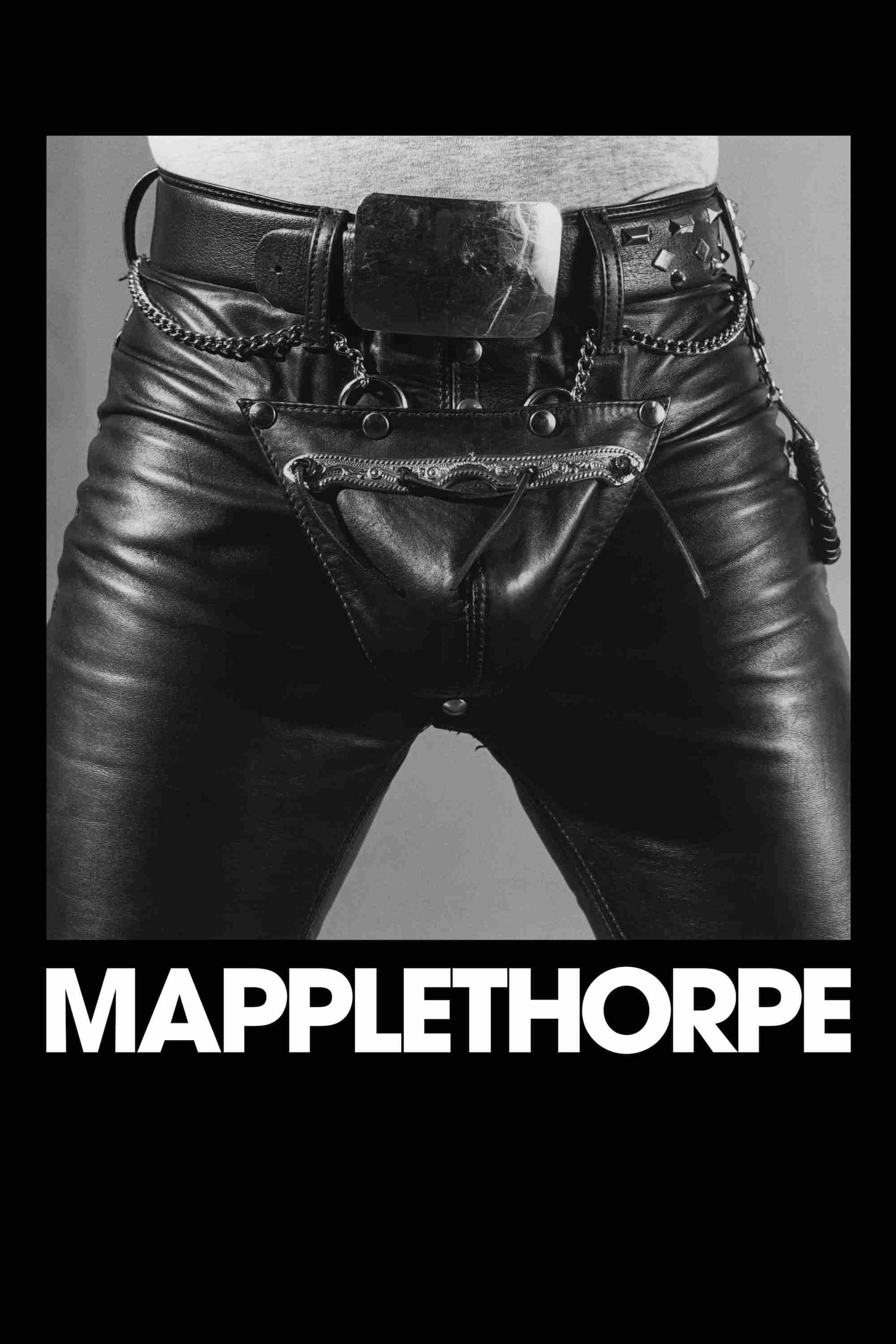 Mapplethorpe Oglądaj w HD online