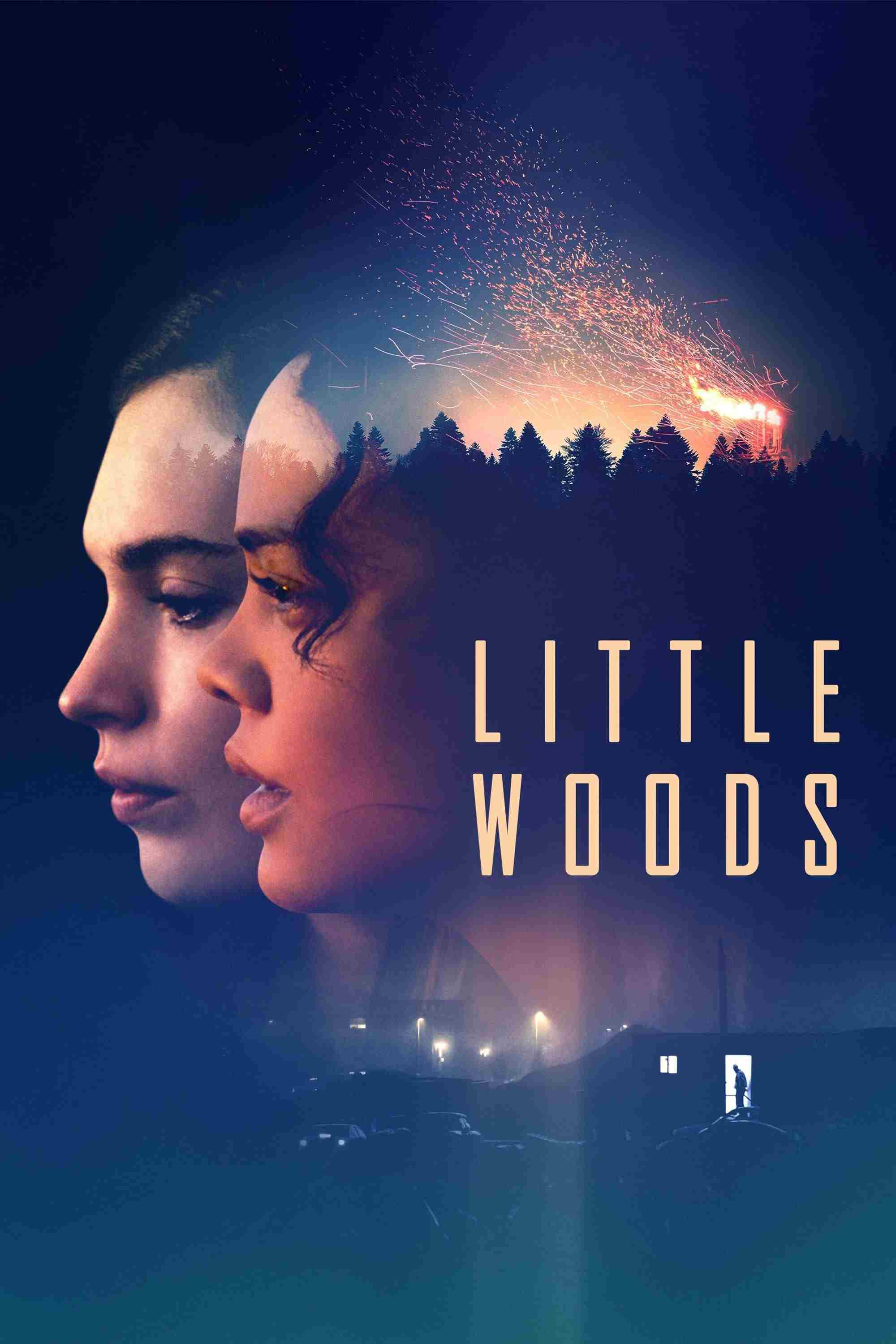 Little Woods   Oglądaj online za darmo w dobrej jakości