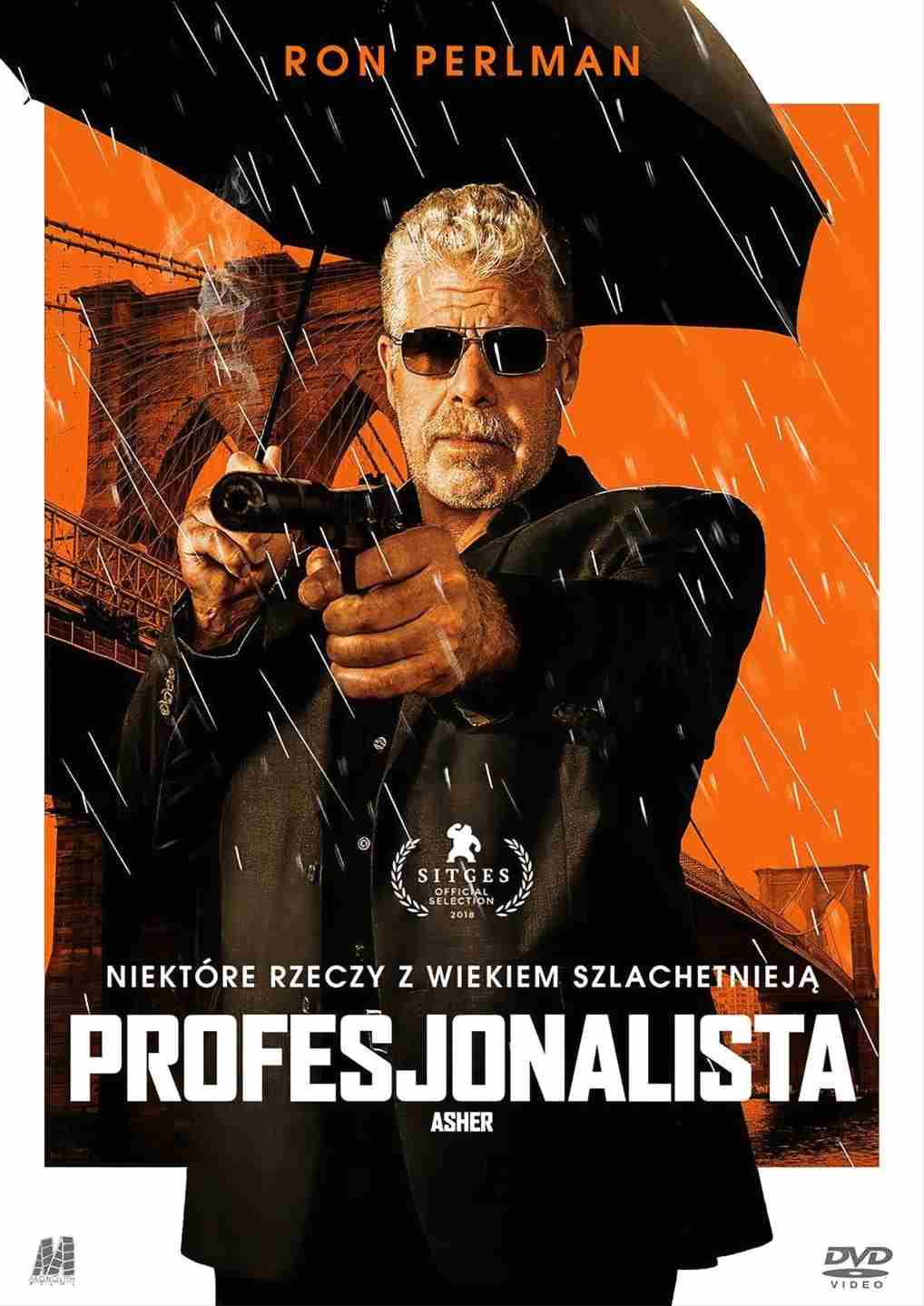 Profesjonalista   Oglądaj online za darmo w dobrej jakości