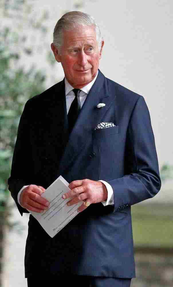 Prince, Son and Heir: Charles at 70 Oglądaj w HD online