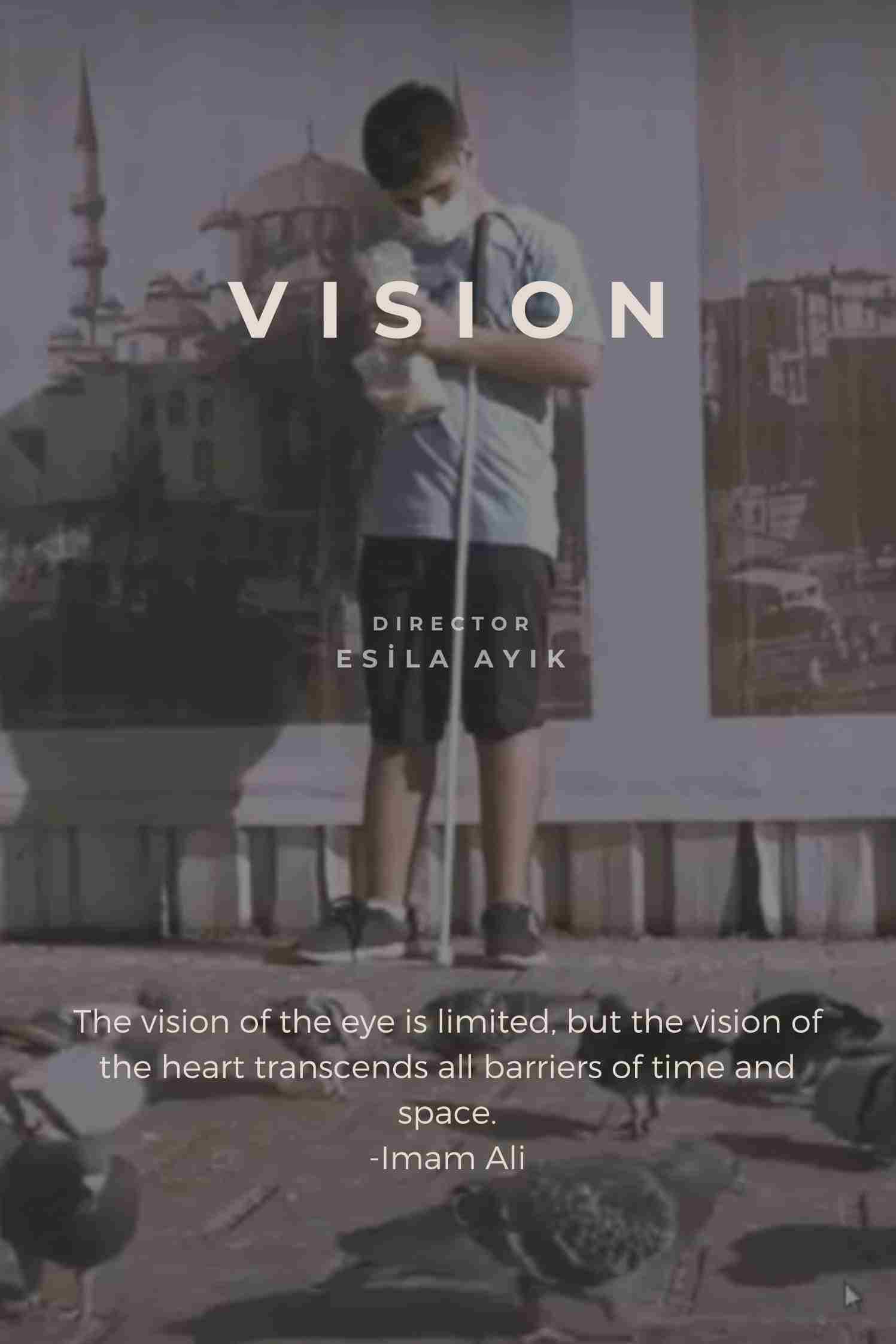 Vision   Oglądaj w HD online