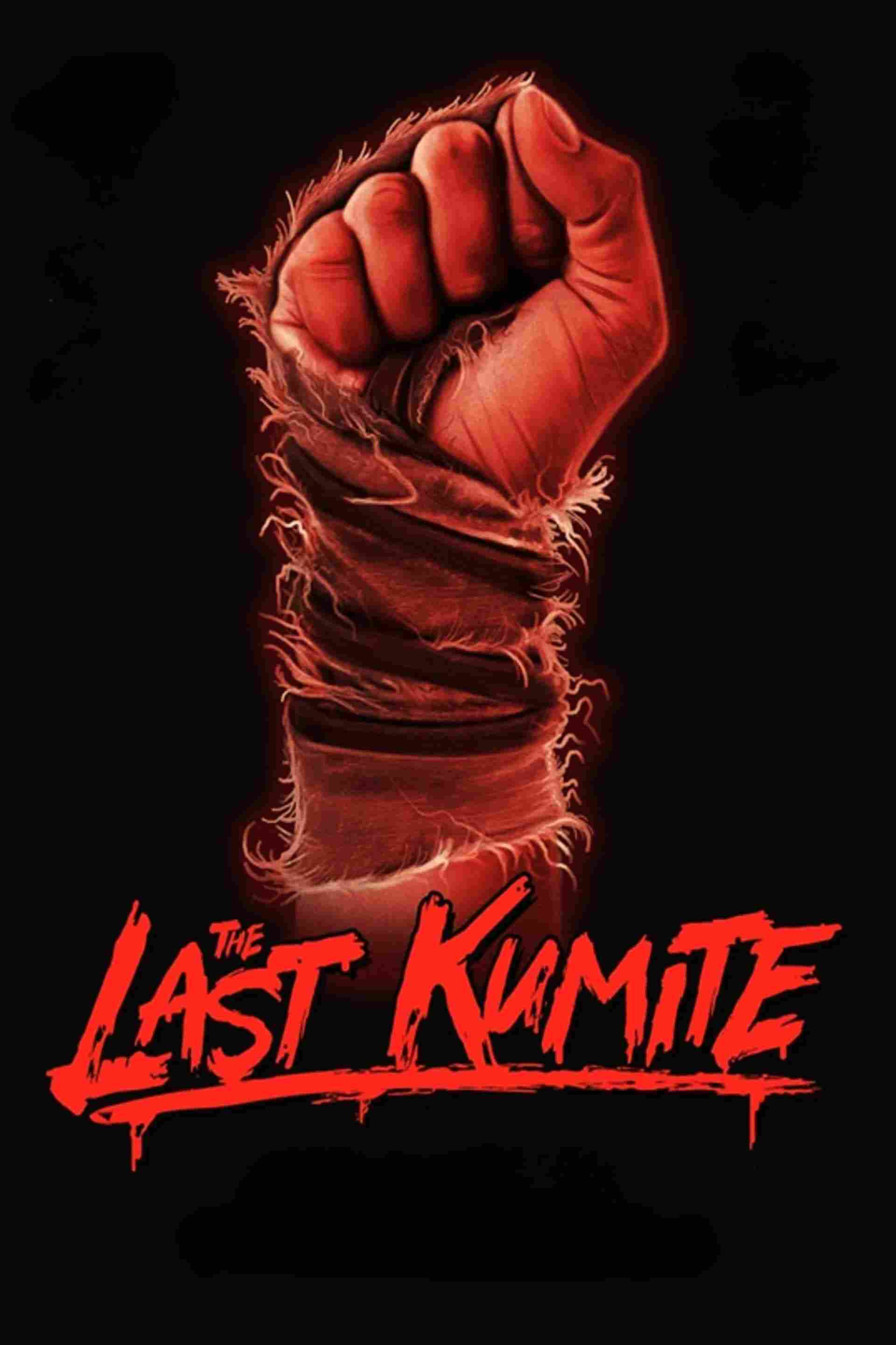 The Last Kumite Oglądaj w HD online