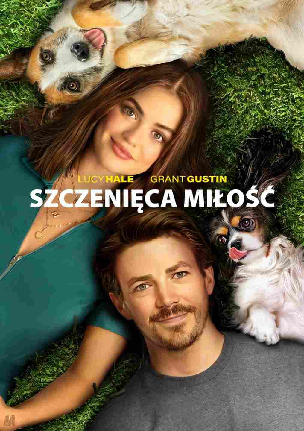 Szczenięca miłość Oglądaj w HD online