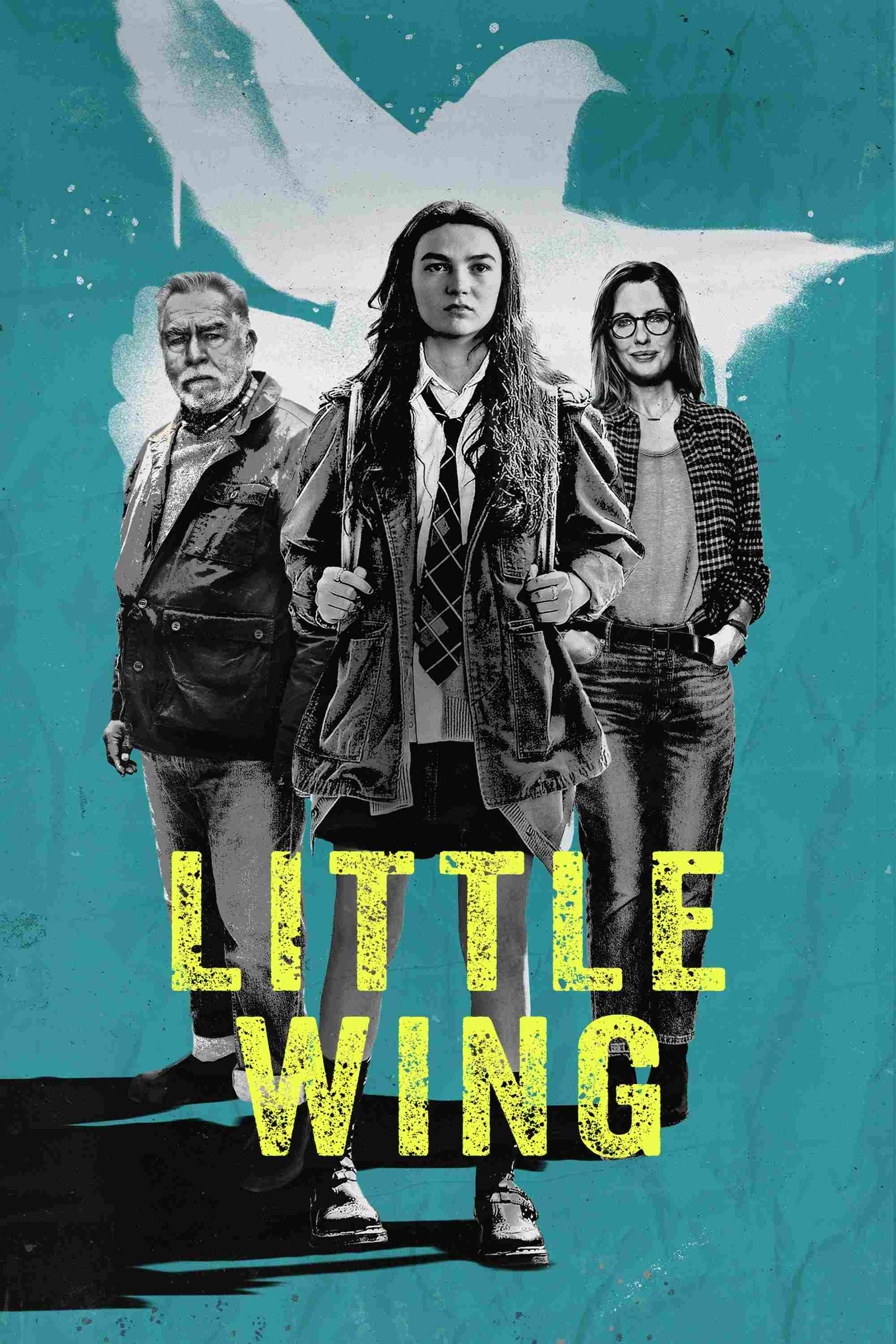 Little Wing Oglądaj w HD online