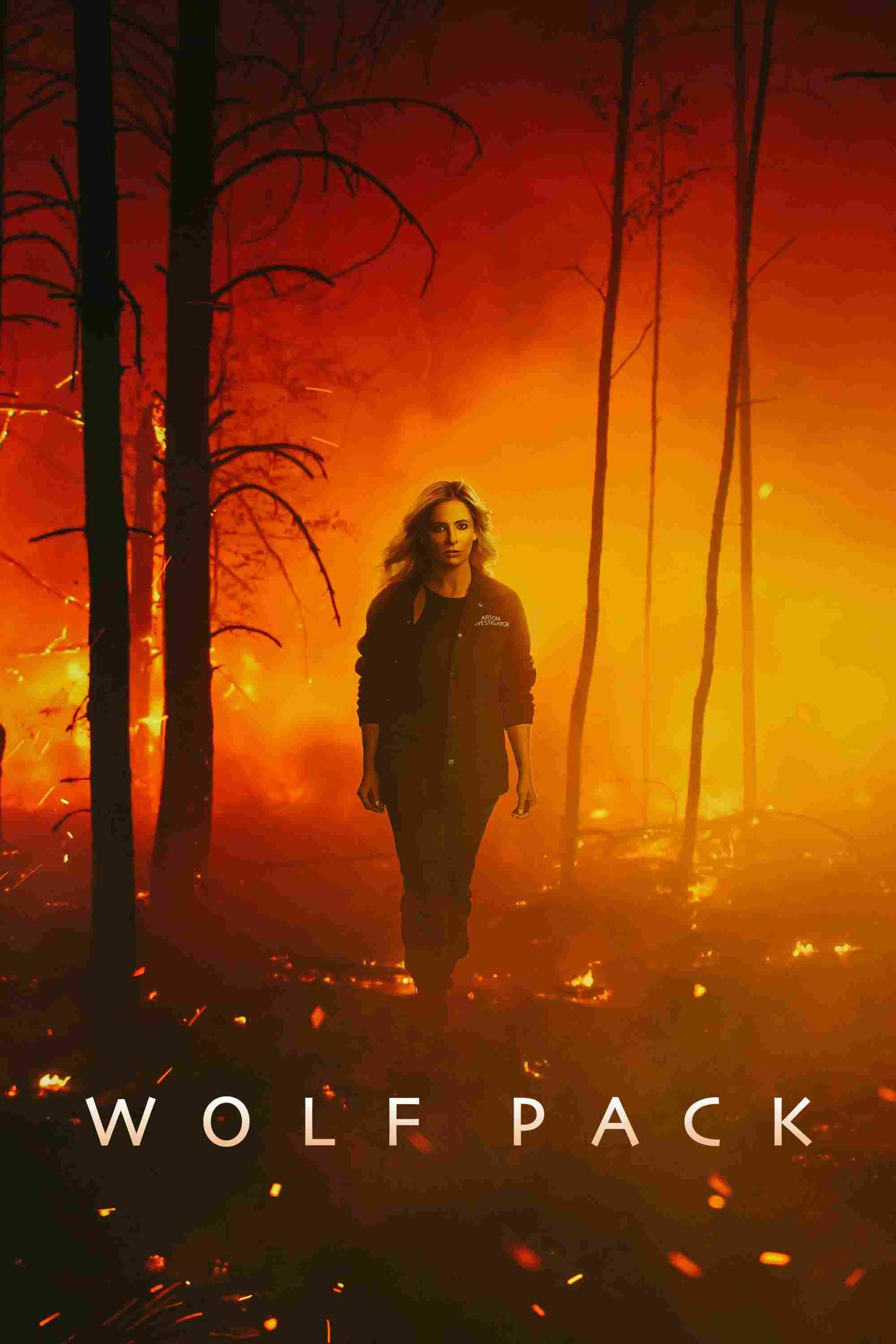 Wolf Pack Oglądaj w HD online