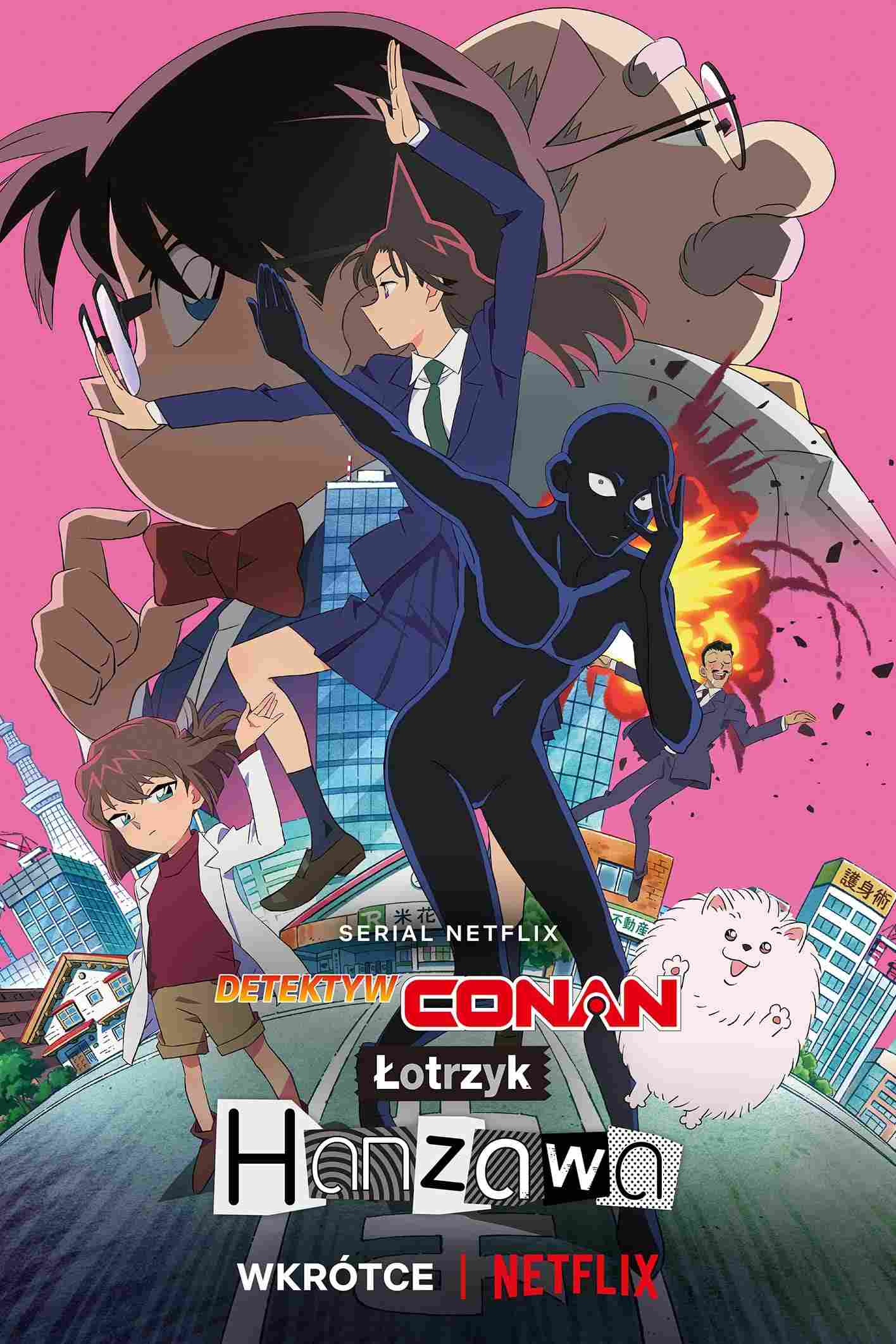 Detektyw Conan: Łotrzyk Hanzawa Oglądaj w HD online