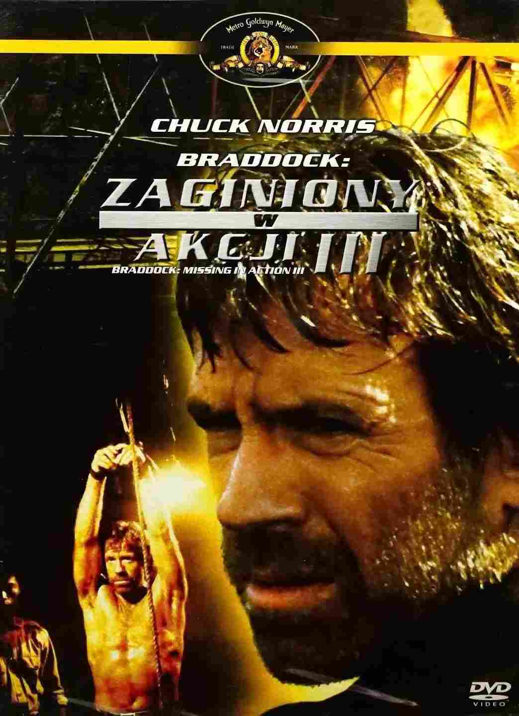 Zaginiony w Akcji 3 Oglądaj w HD online