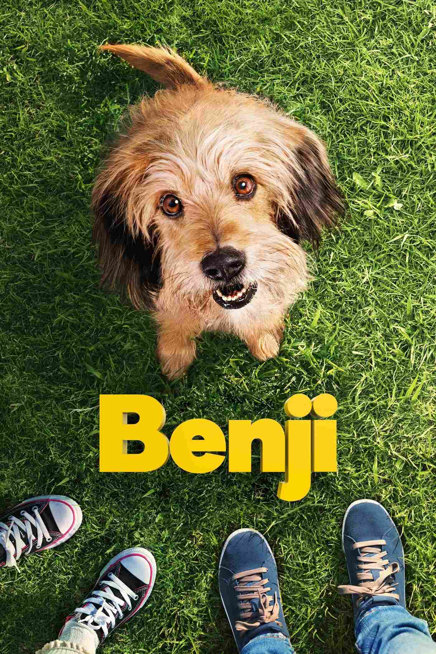 Benji Oglądaj w HD online