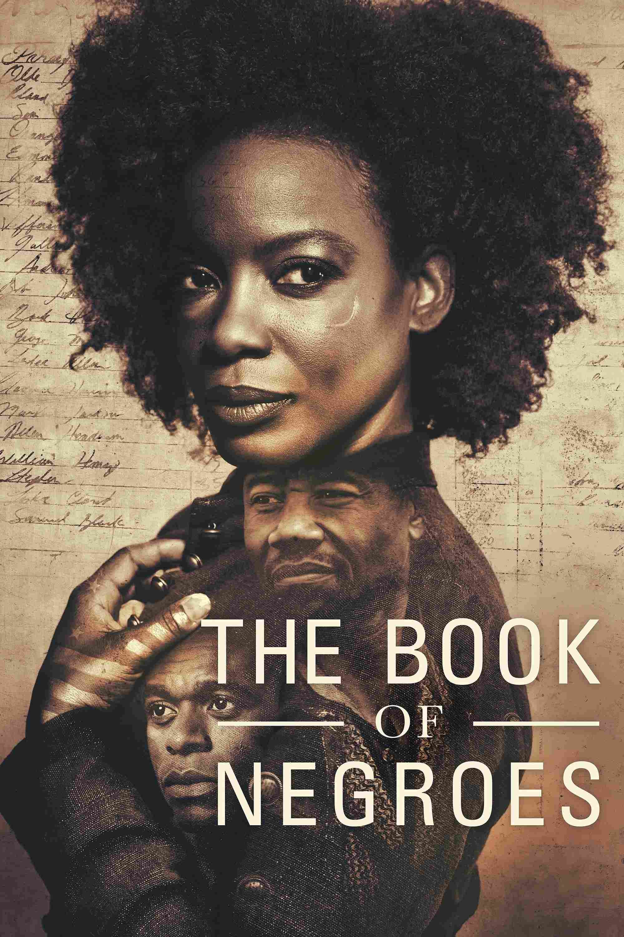 The Book of Negroes Oglądaj w HD online