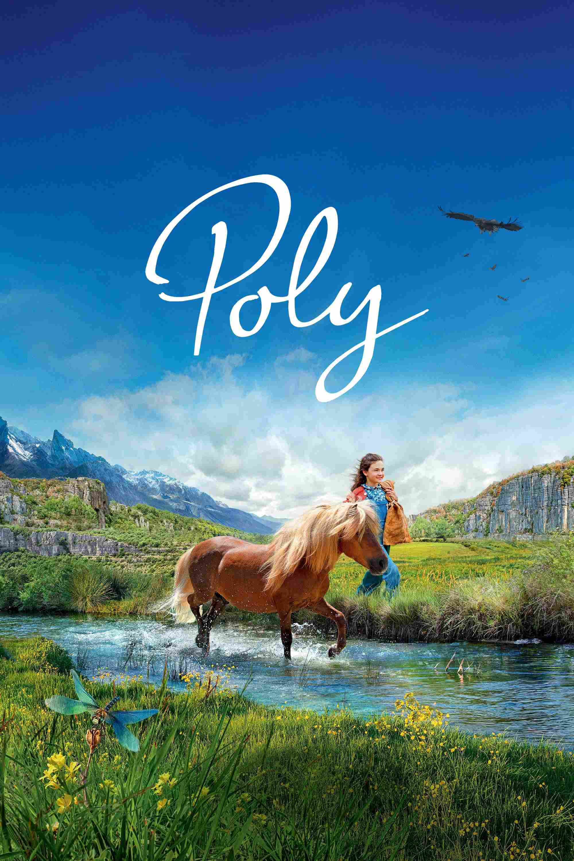 Poly Oglądaj w HD online