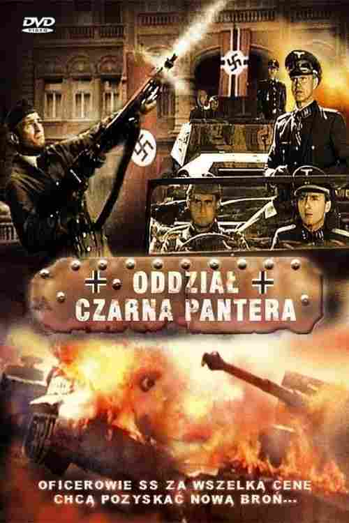 Oddział Czarna Pantera Oglądaj w HD online
