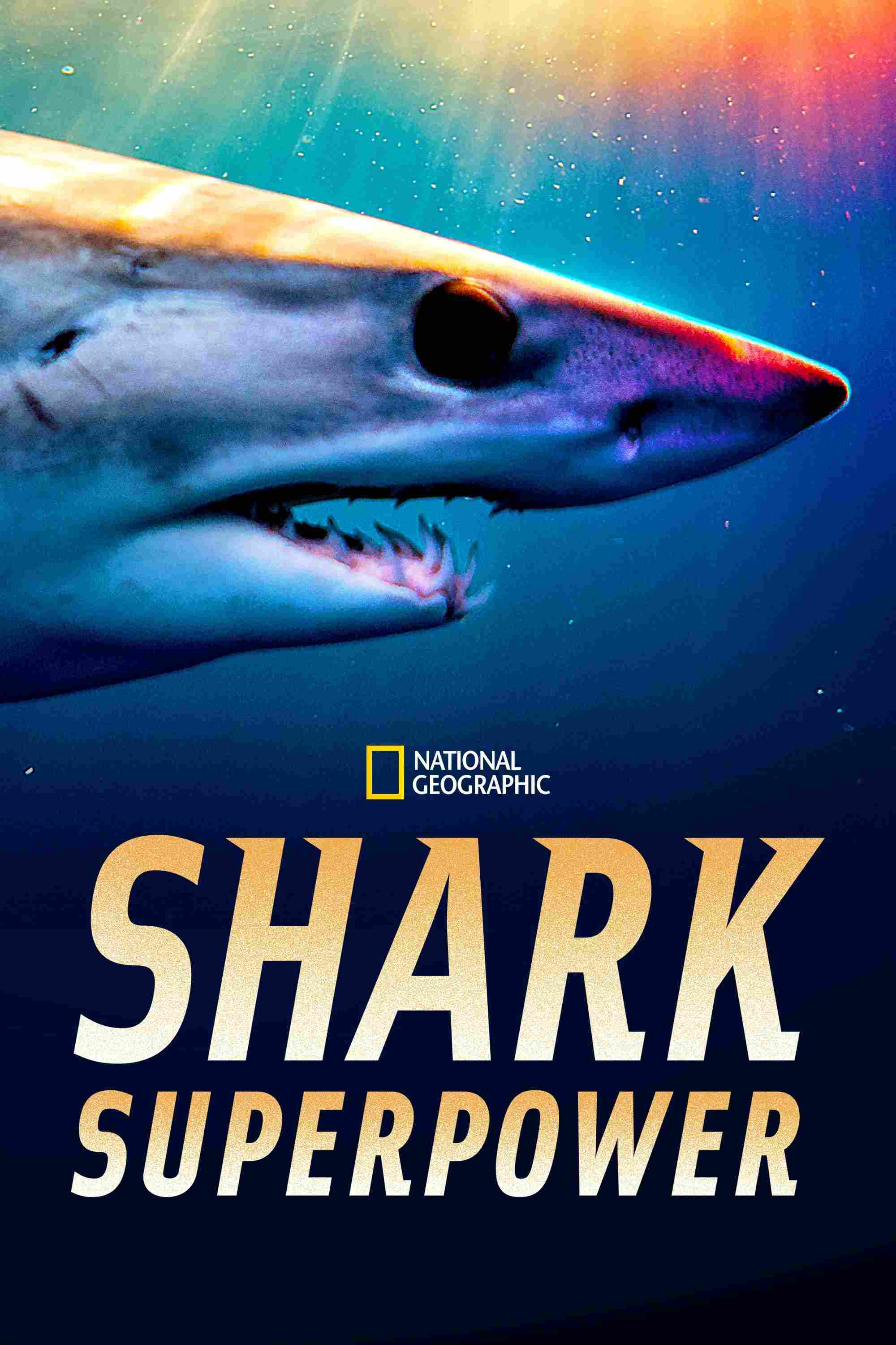 Shark Superpower Oglądaj w HD online
