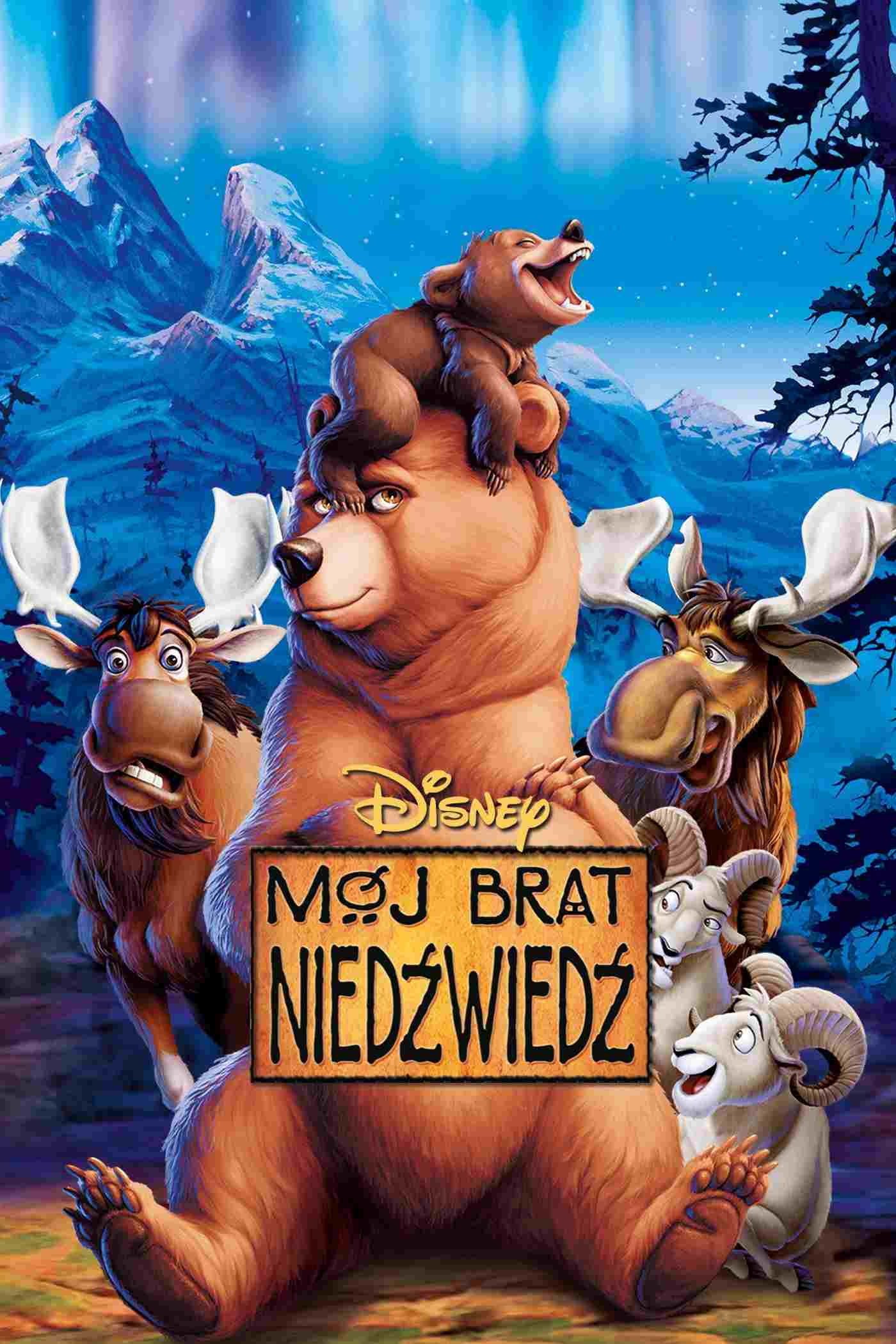 Mój brat niedźwiedź  oglądaj online za darmo