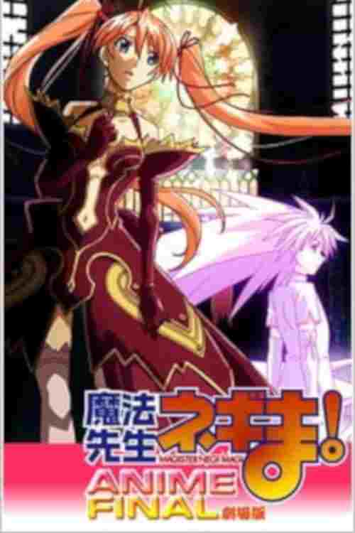 劇場版 魔法先生ネギま! Anime Final  oglądaj online za darmo