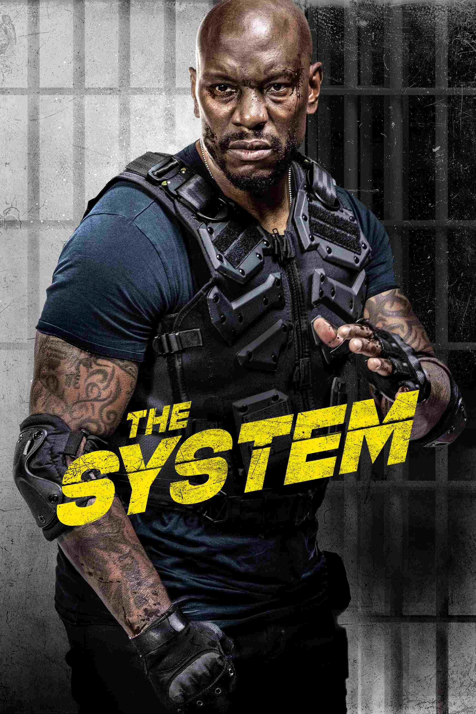 The System  oglądaj online za darmo