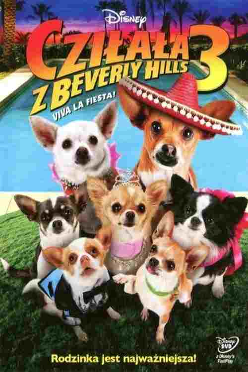Cziłała z Beverly Hills 3  oglądaj online za darmo