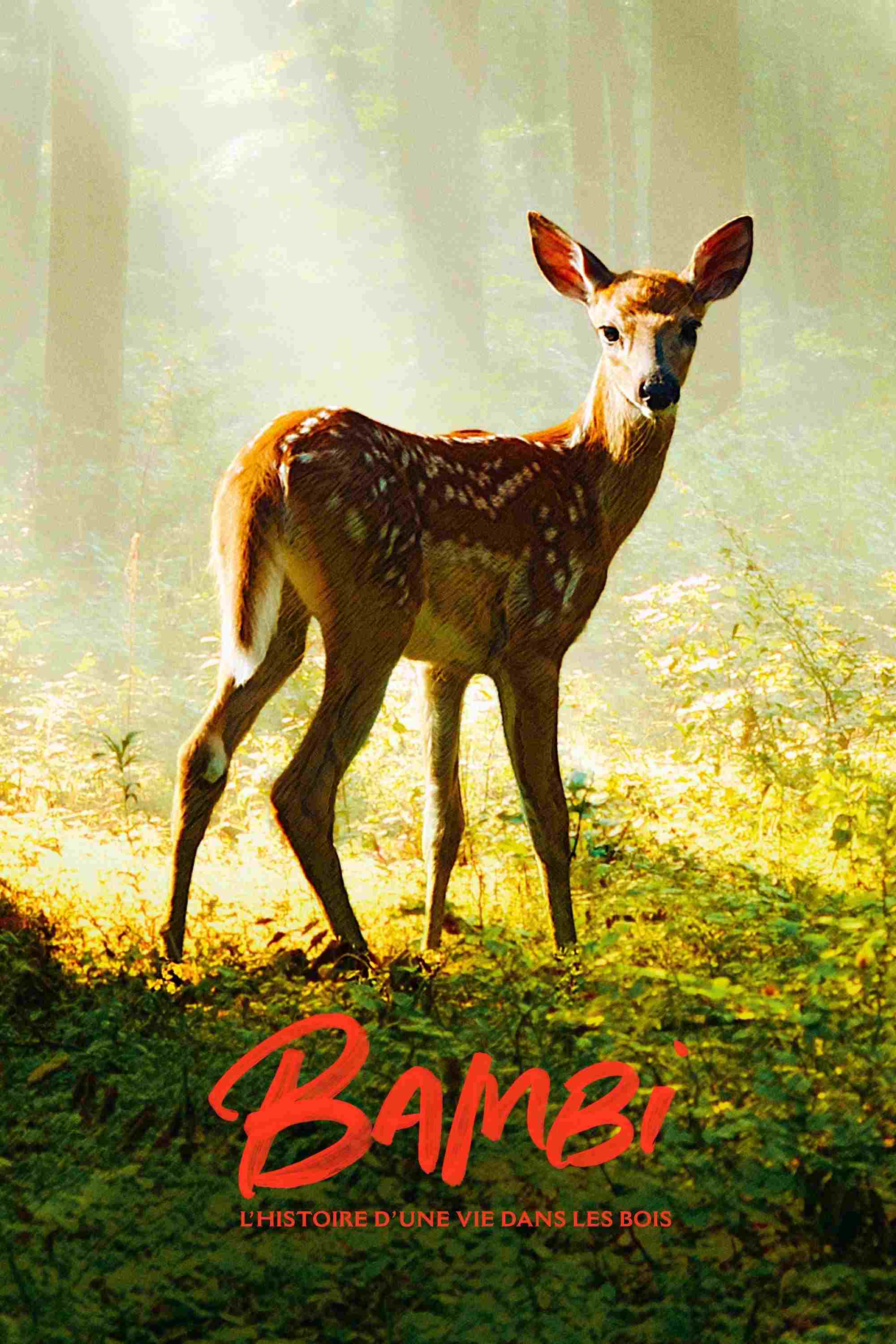 Bambi. Opowieść leśna  oglądaj online za darmo