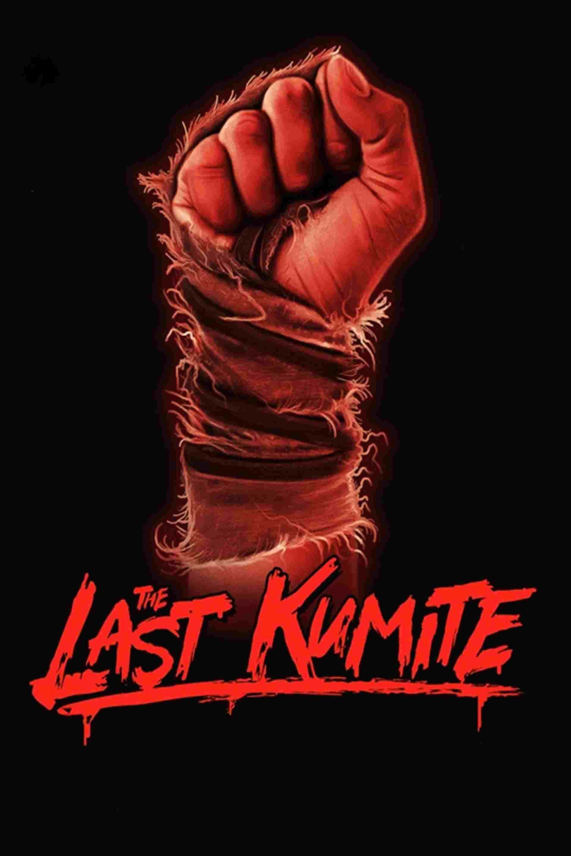  The Last Kumite  Oglądaj w HD online