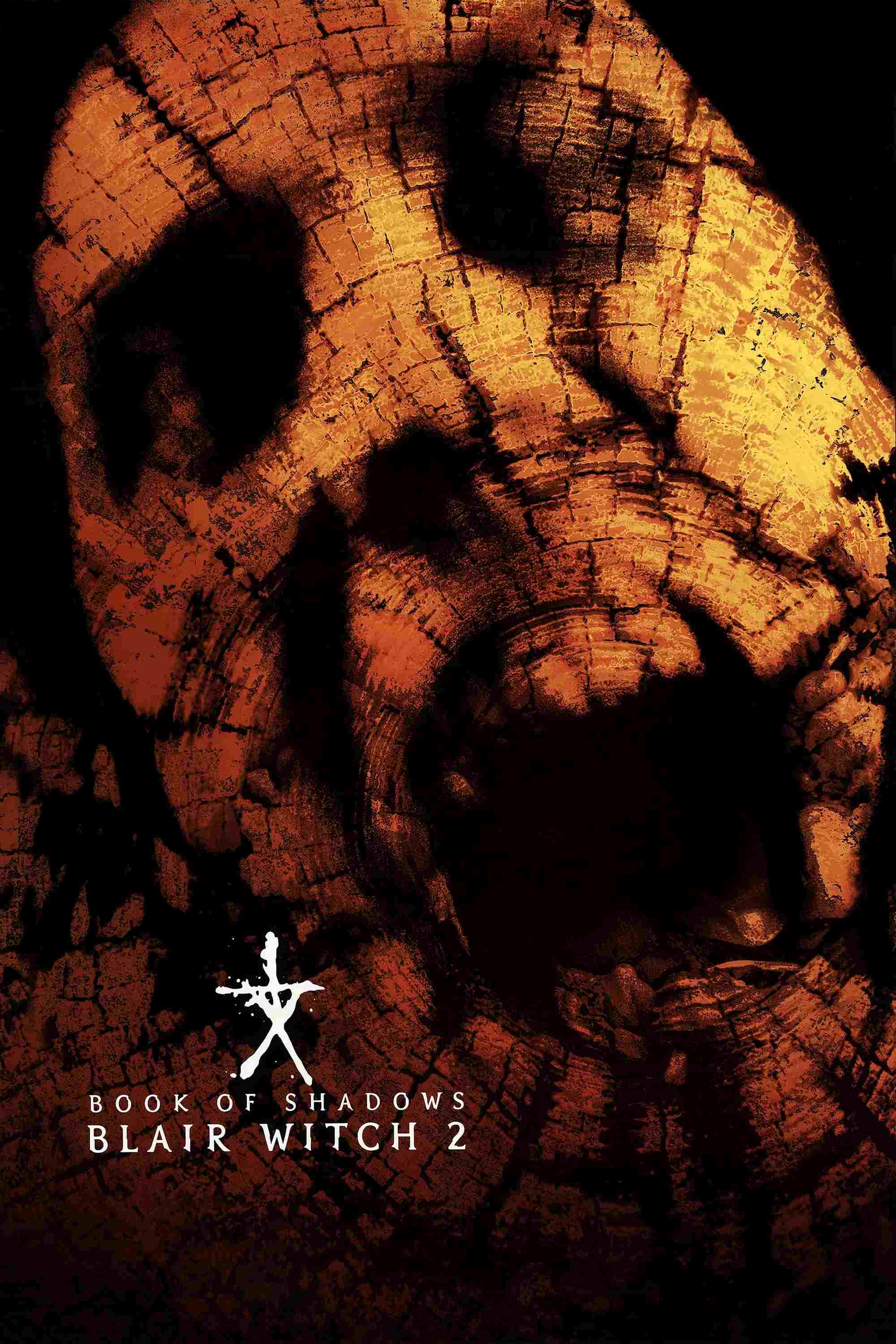 Księga cieni: Blair Witch 2  oglądaj online za darmo