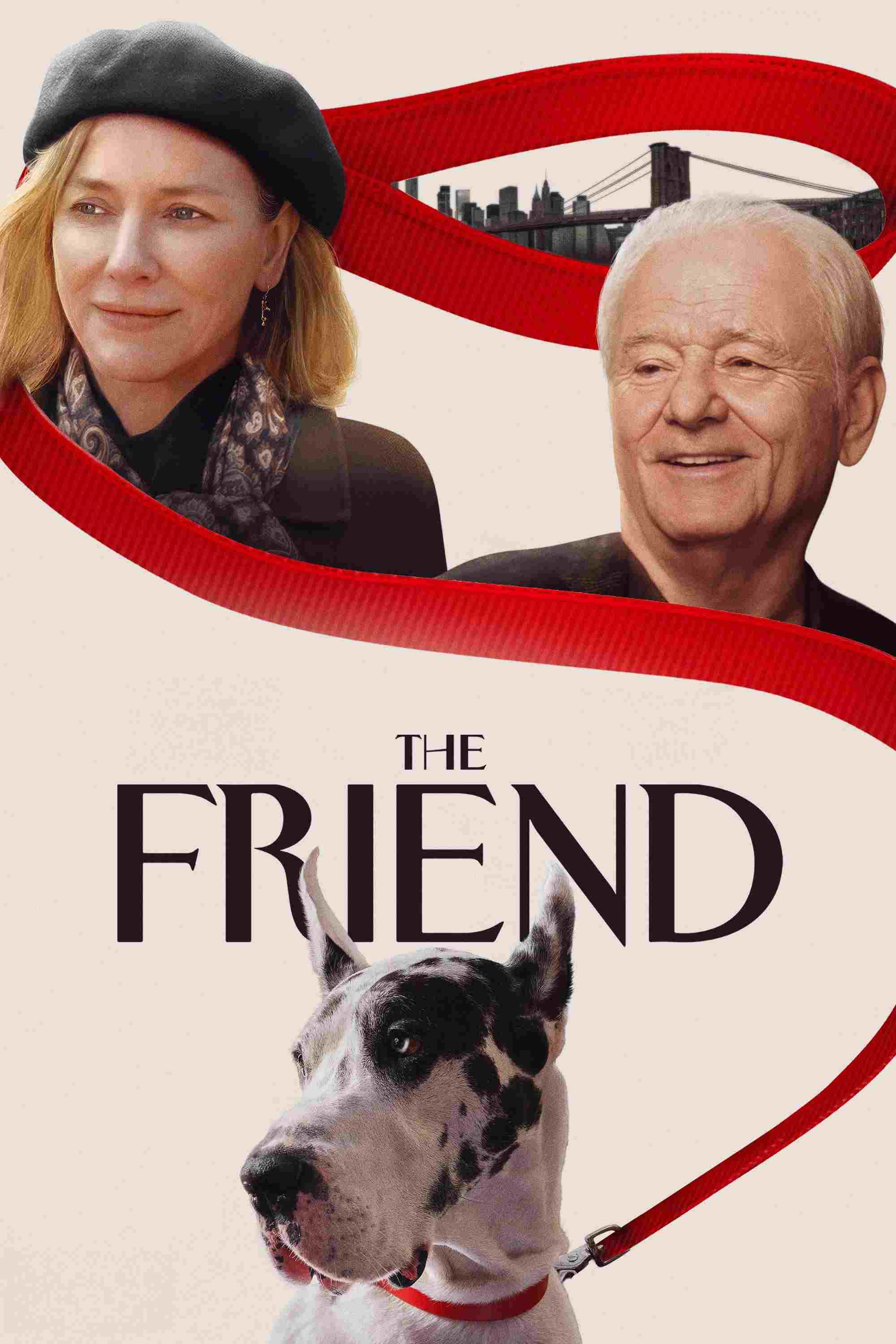  The Friend  Oglądaj w HD online