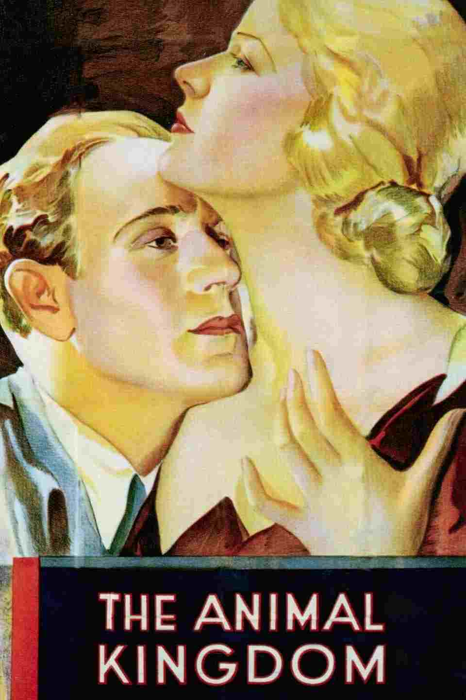 The Animal Kingdom  Oglądaj w HD online
