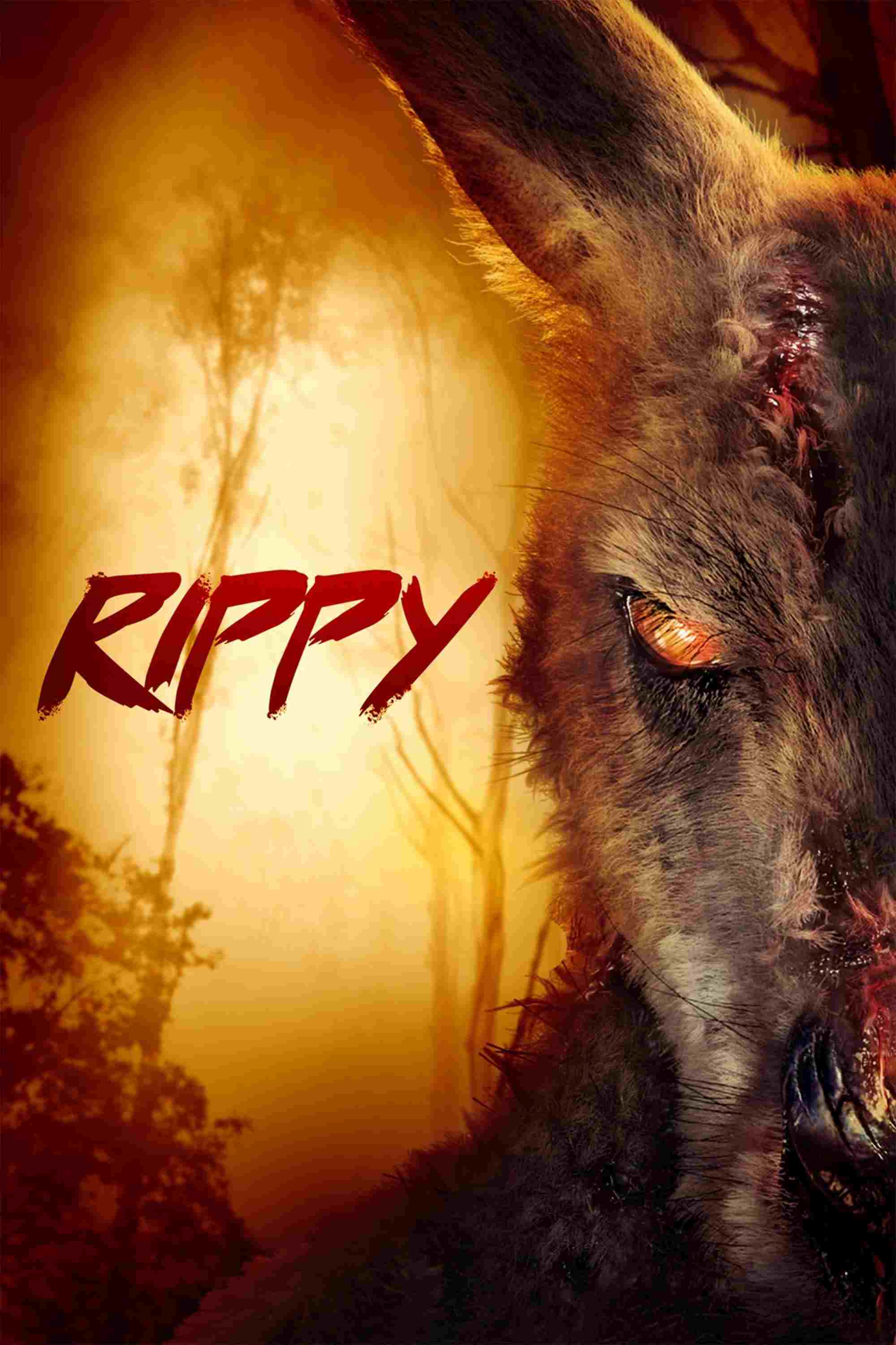 Rippy  oglądaj online za darmo