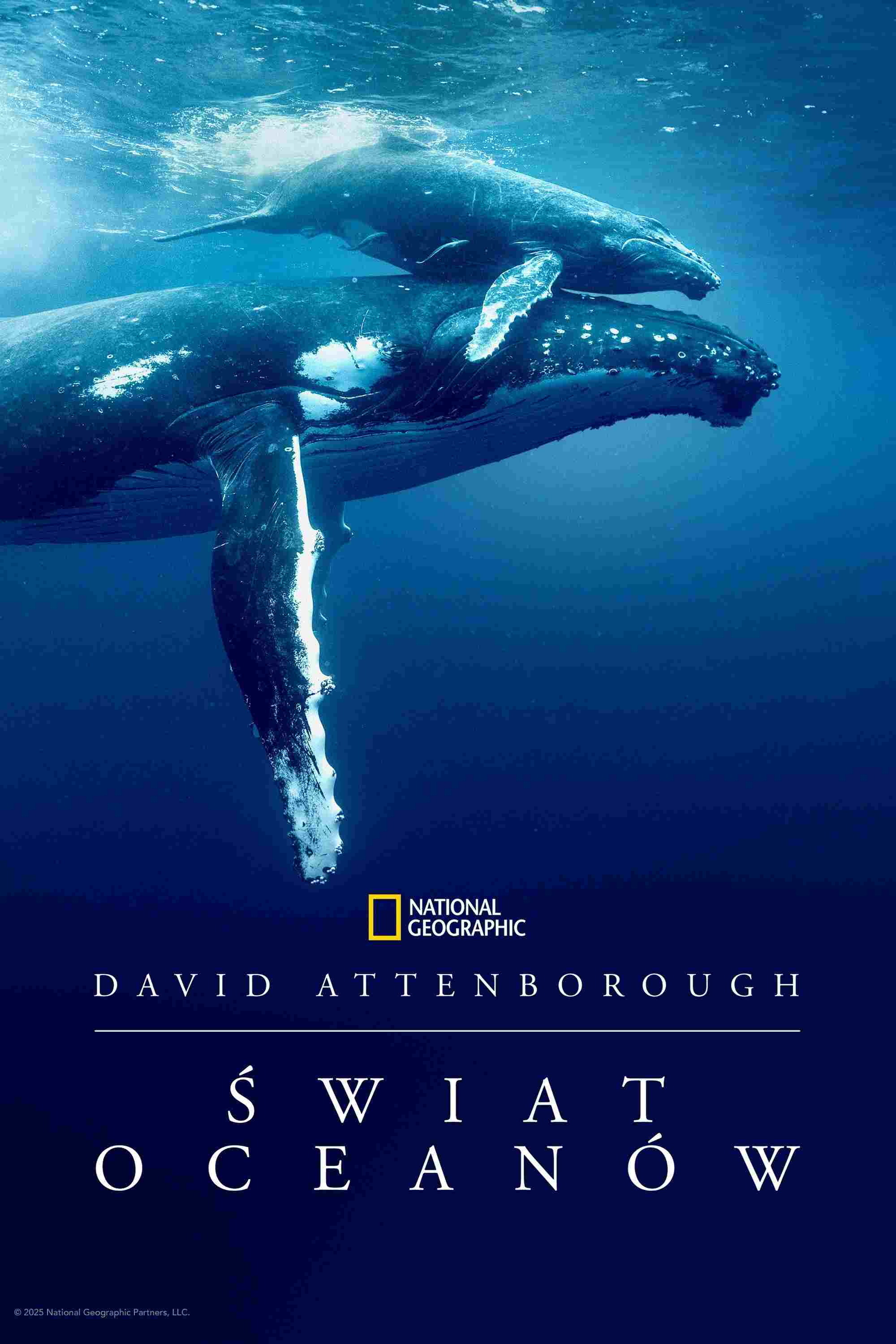 Ocean with David Attenborough  oglądaj online za darmo