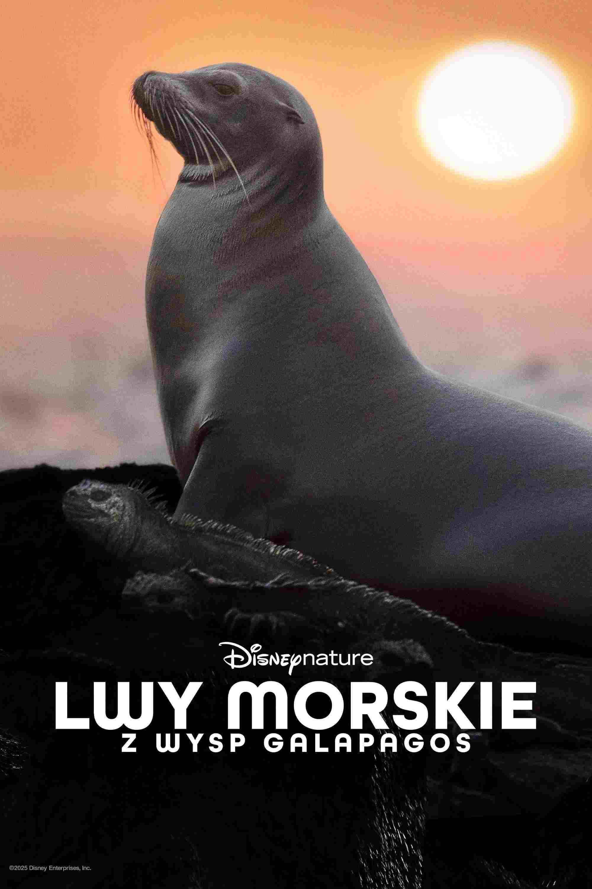 Lwy morskie z wysp Galapagos  oglądaj online za darmo