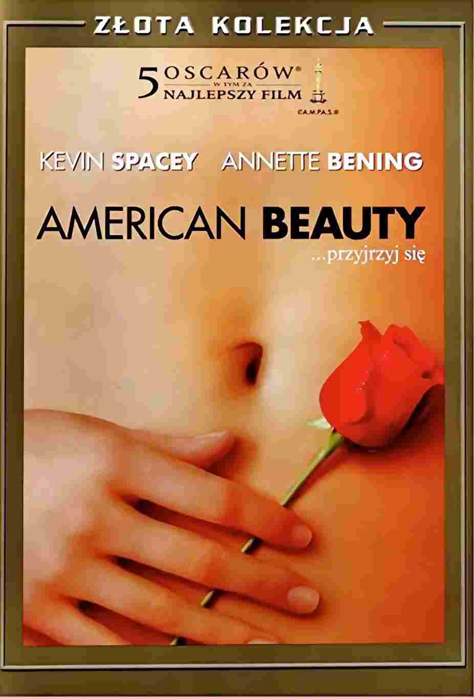 American Beauty  oglądaj online za darmo