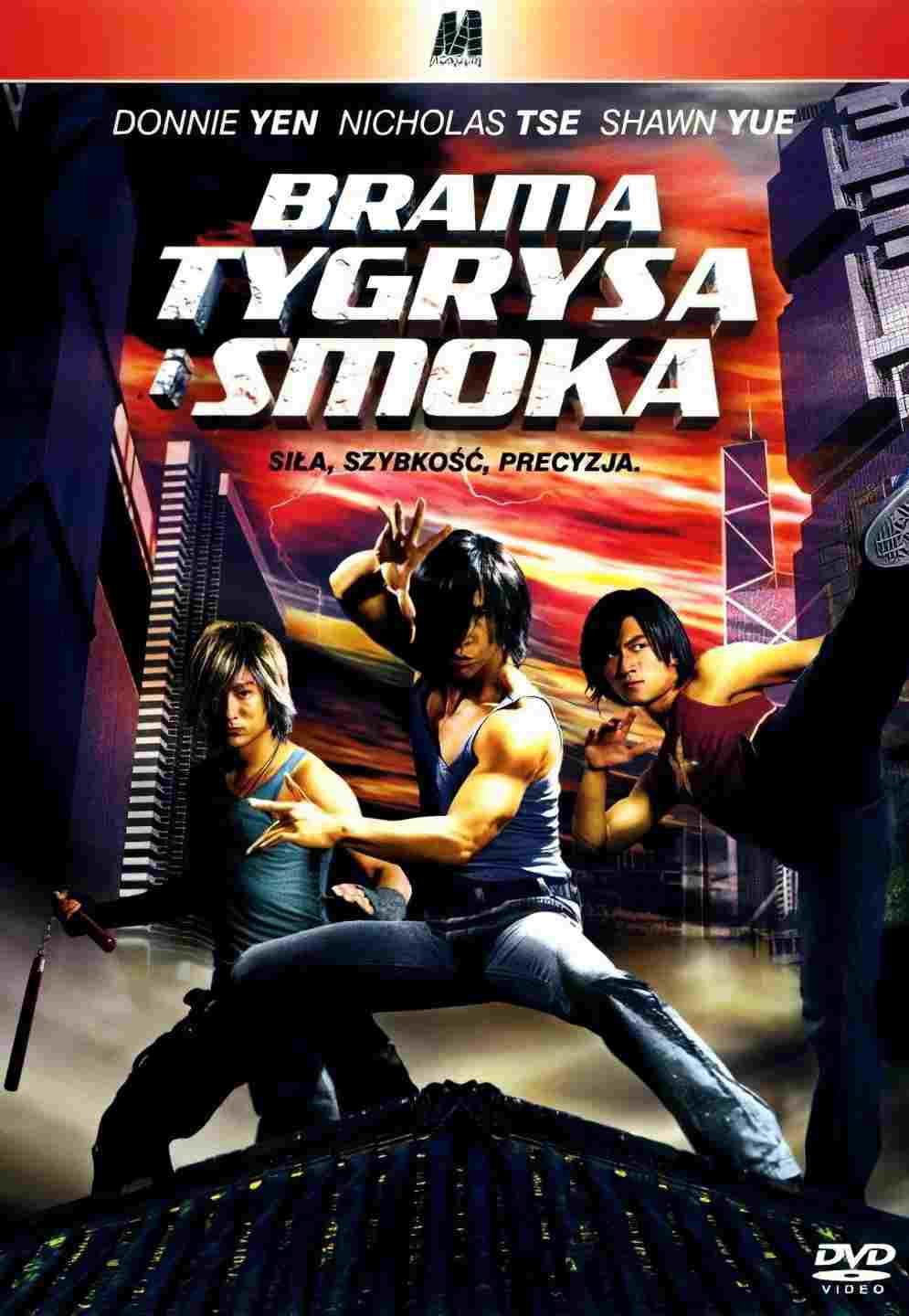 Brama Tygrysa i Smoka  oglądaj online za darmo