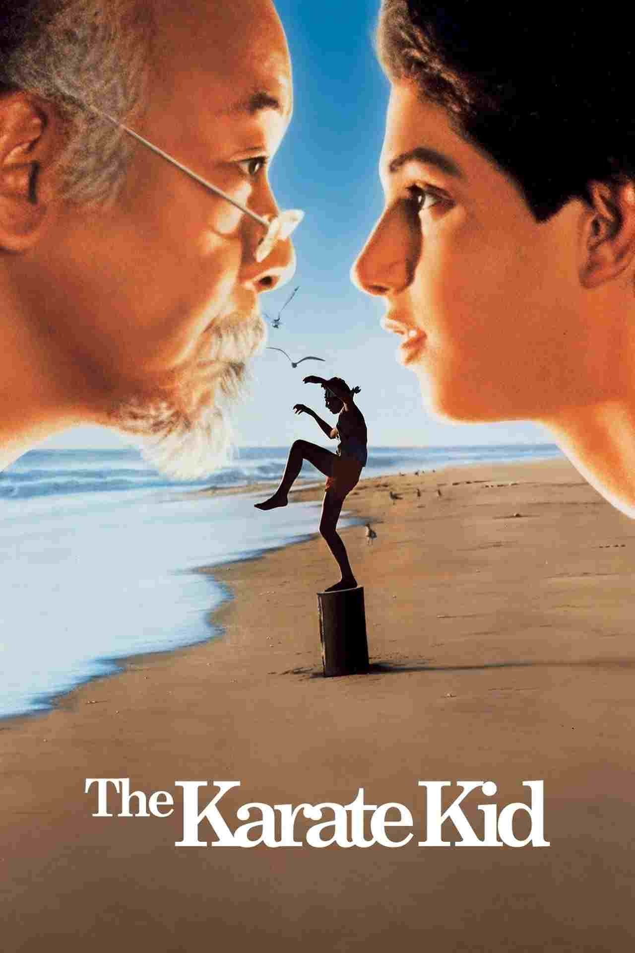 Karate Kid  oglądaj online za darmo