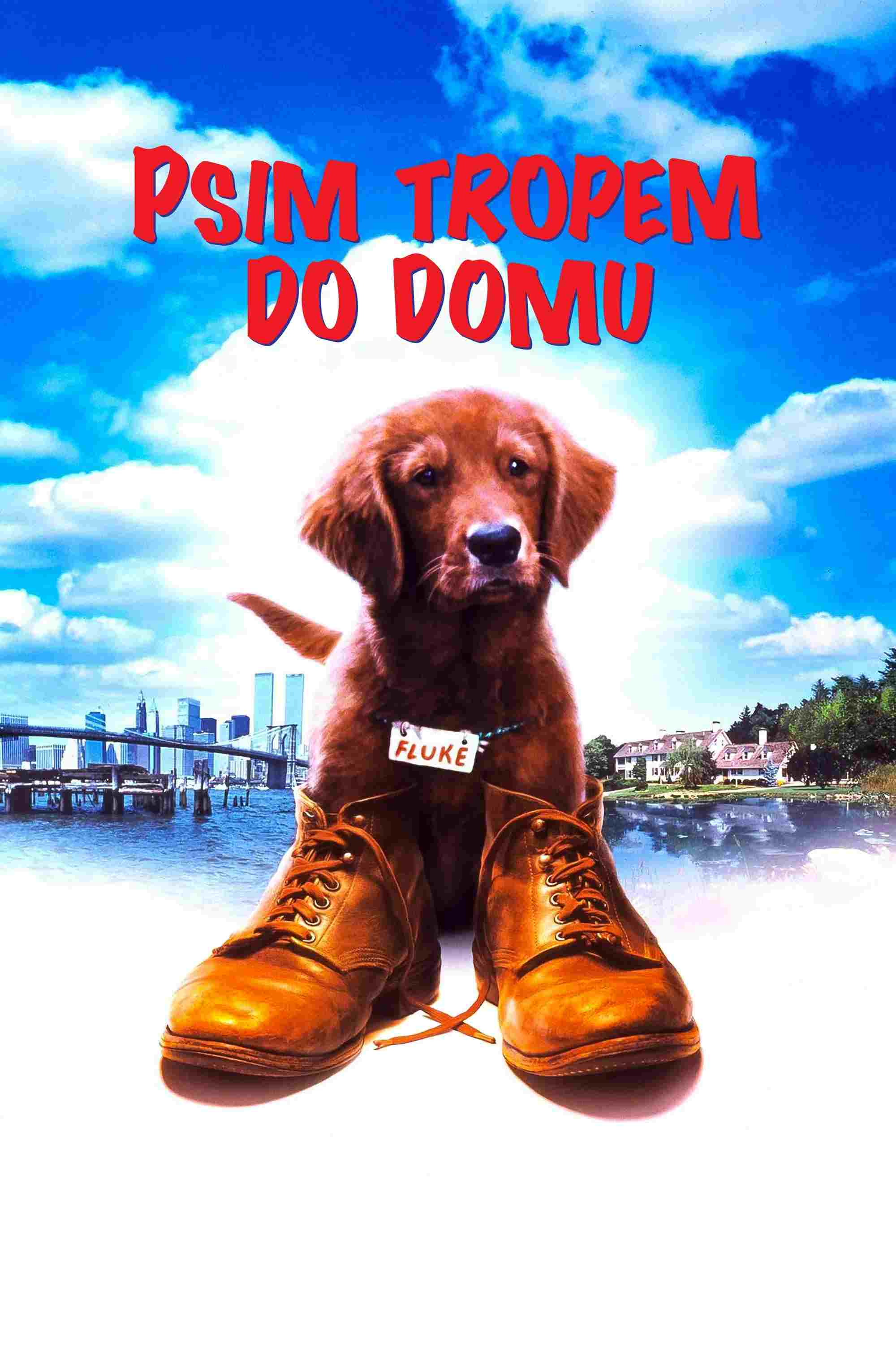 Psim tropem do domu  oglądaj online za darmo