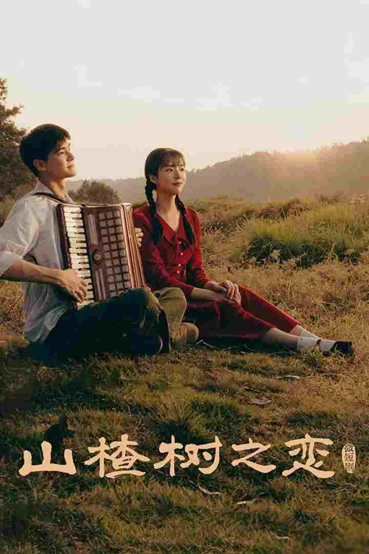  山楂树之恋  Oglądaj w HD online