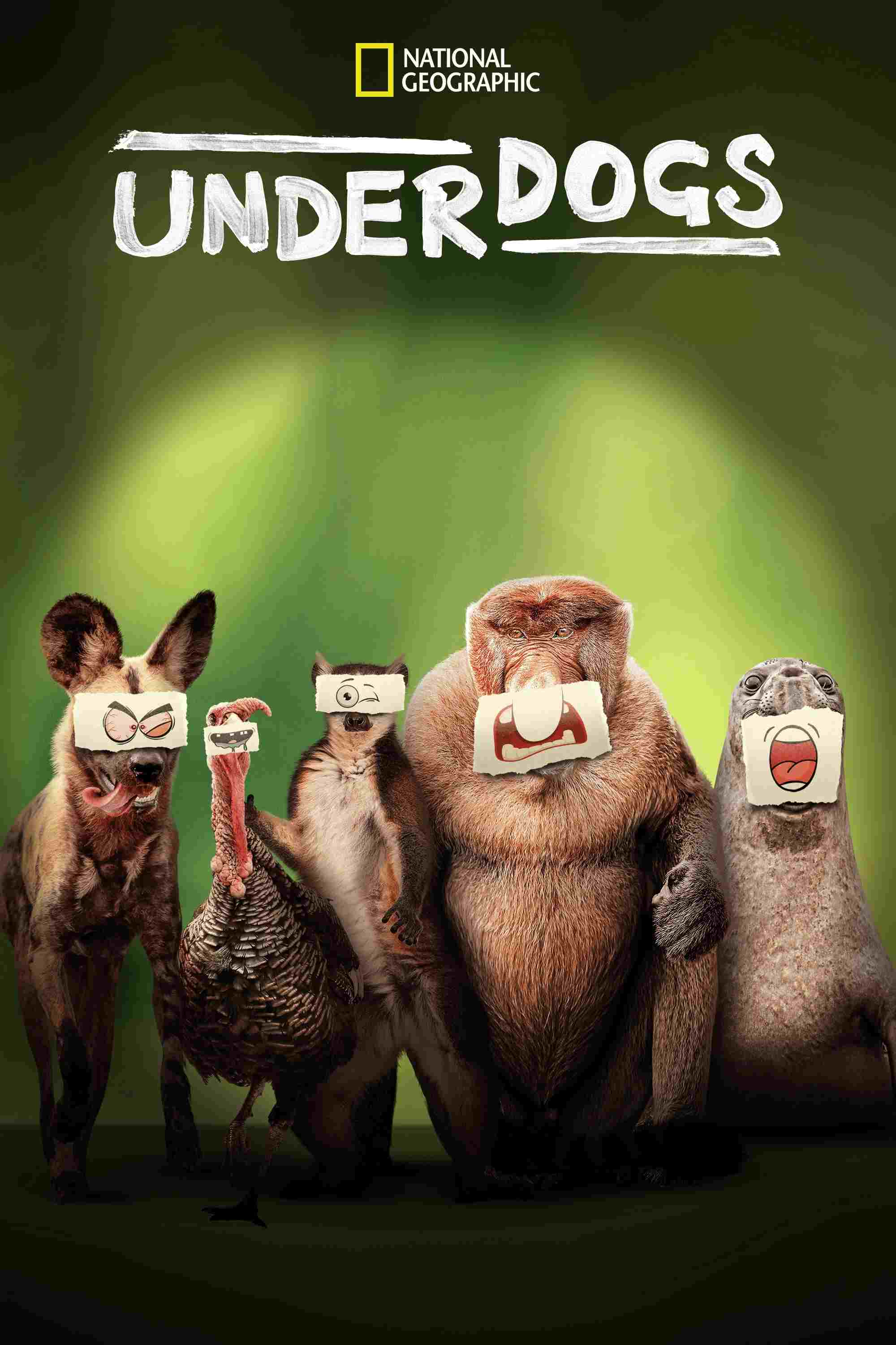 Underdogs  Oglądaj online za darmo w dobrej jakości