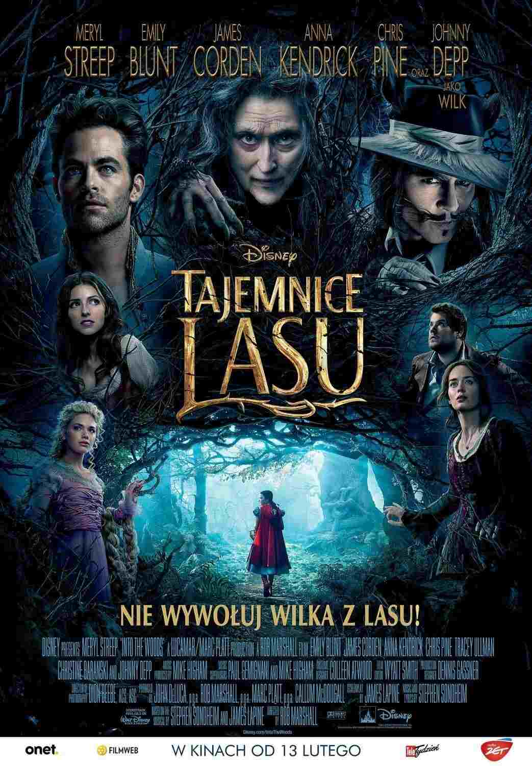 Tajemnice lasu  oglądaj online za darmo