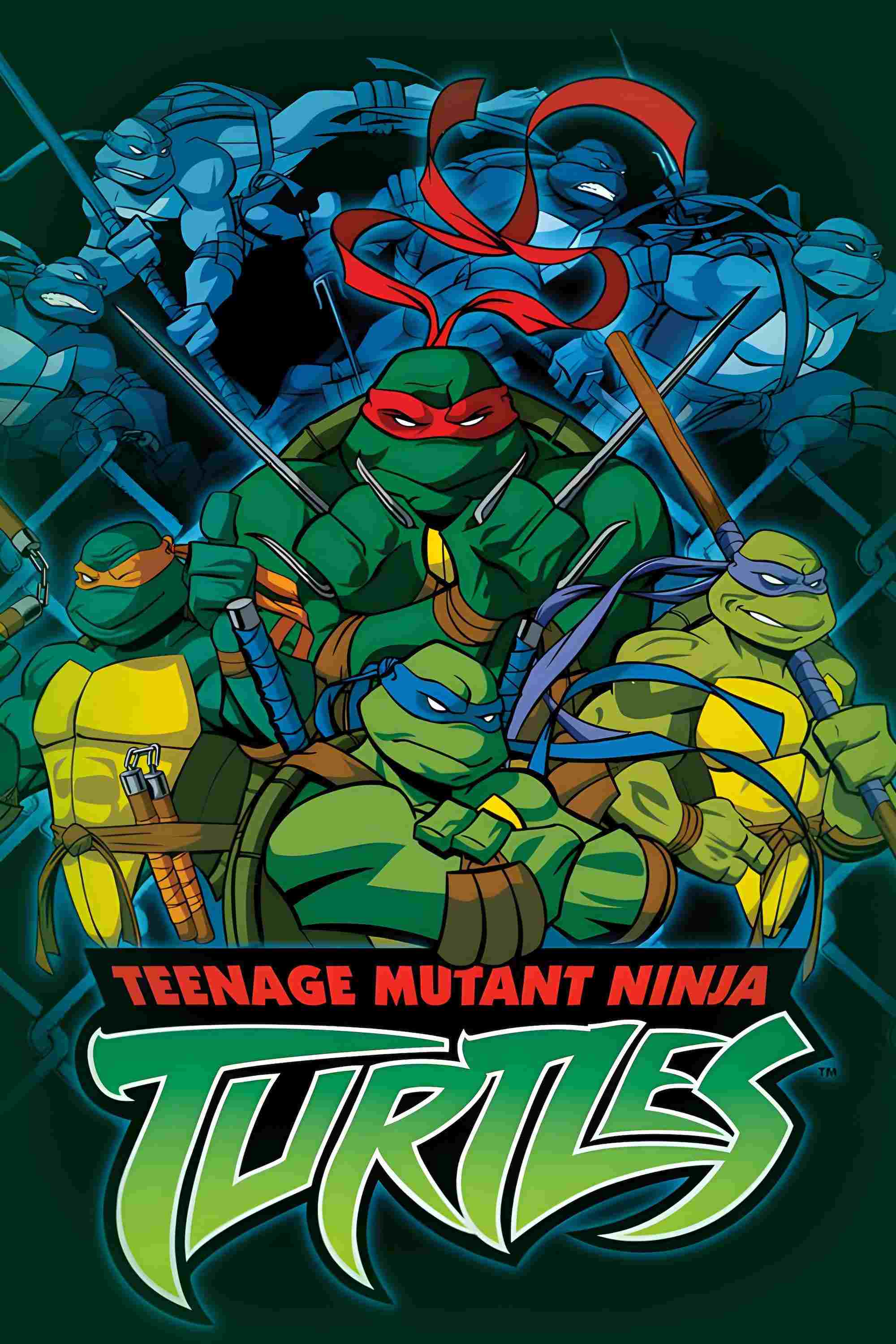  Wojownicze Żółwie Ninja  Oglądaj w HD online