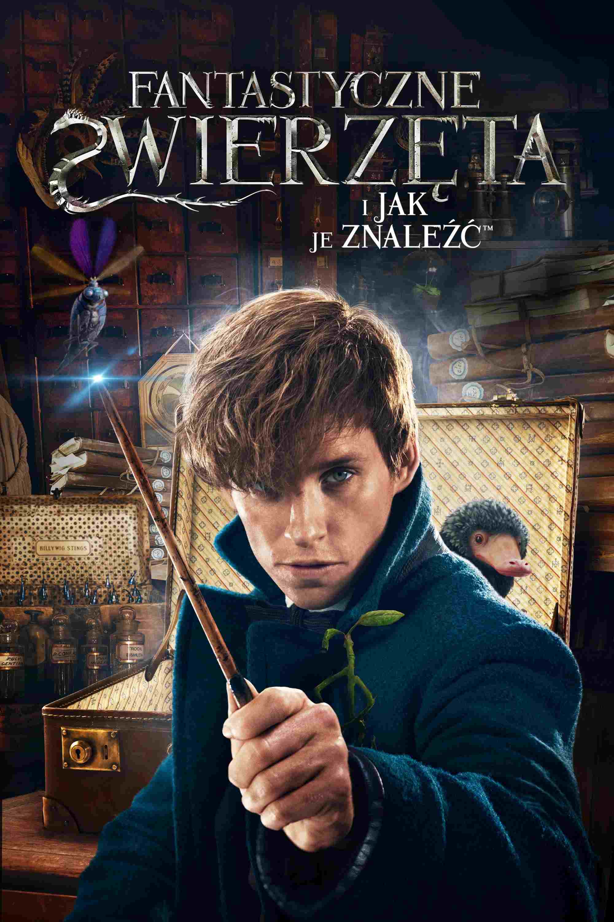 Fantastyczne zwierzęta i jak je znaleźć  oglądaj online za darmo
