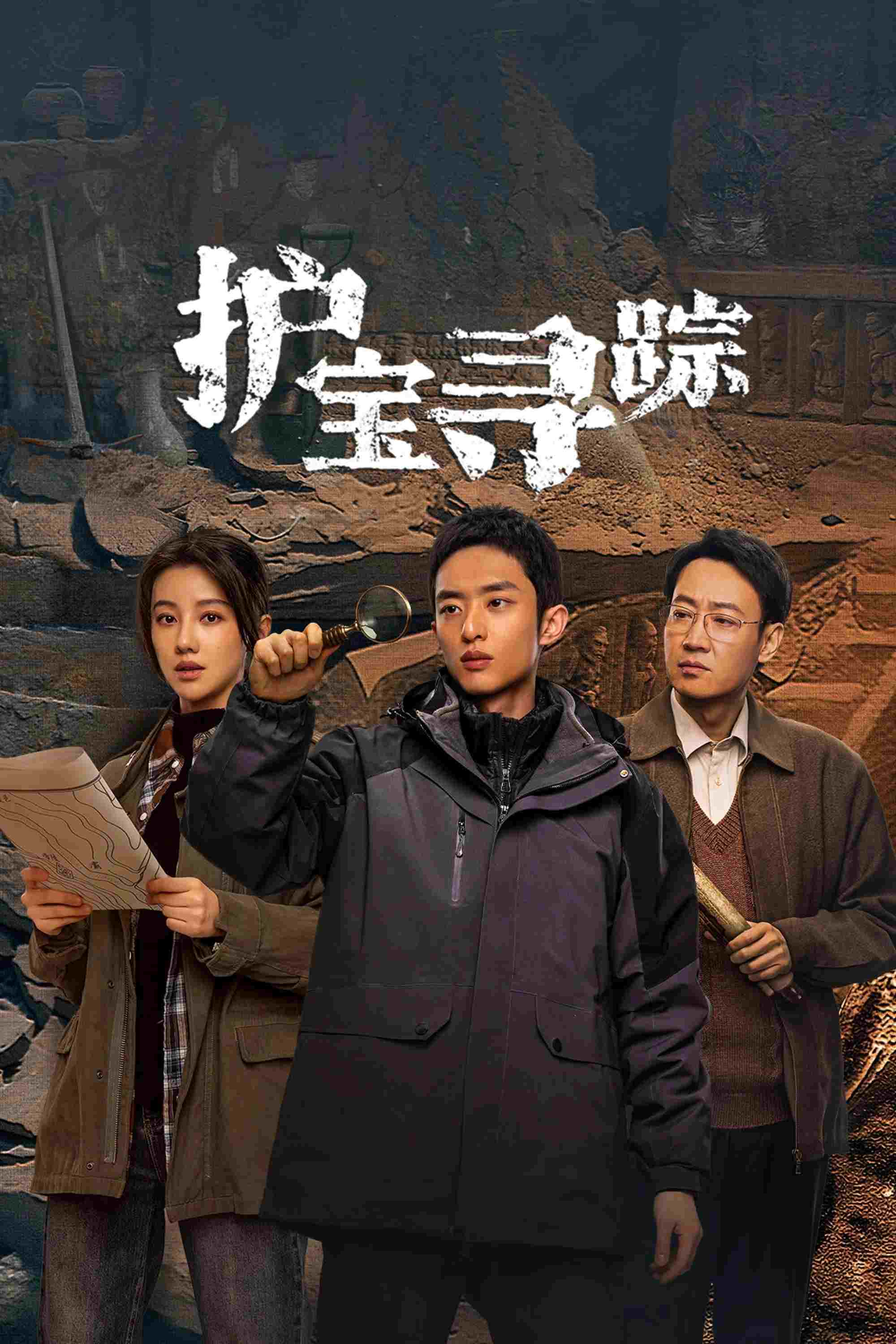  护宝寻踪  Oglądaj w HD online